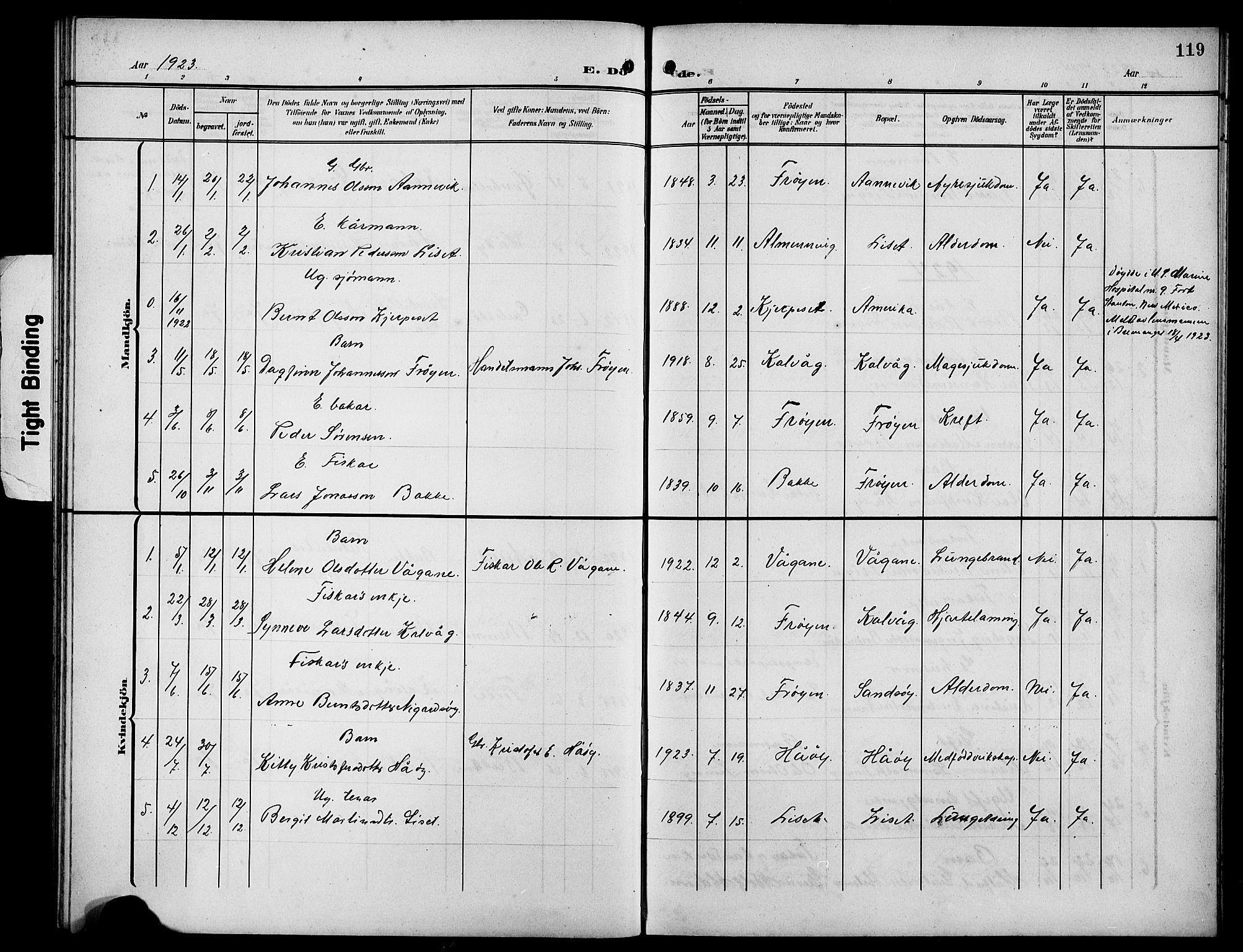 Bremanger sokneprestembete, SAB/A-82201/H/Hab/Habb/L0001: Parish register (copy) no. B 1, 1906-1925, p. 119