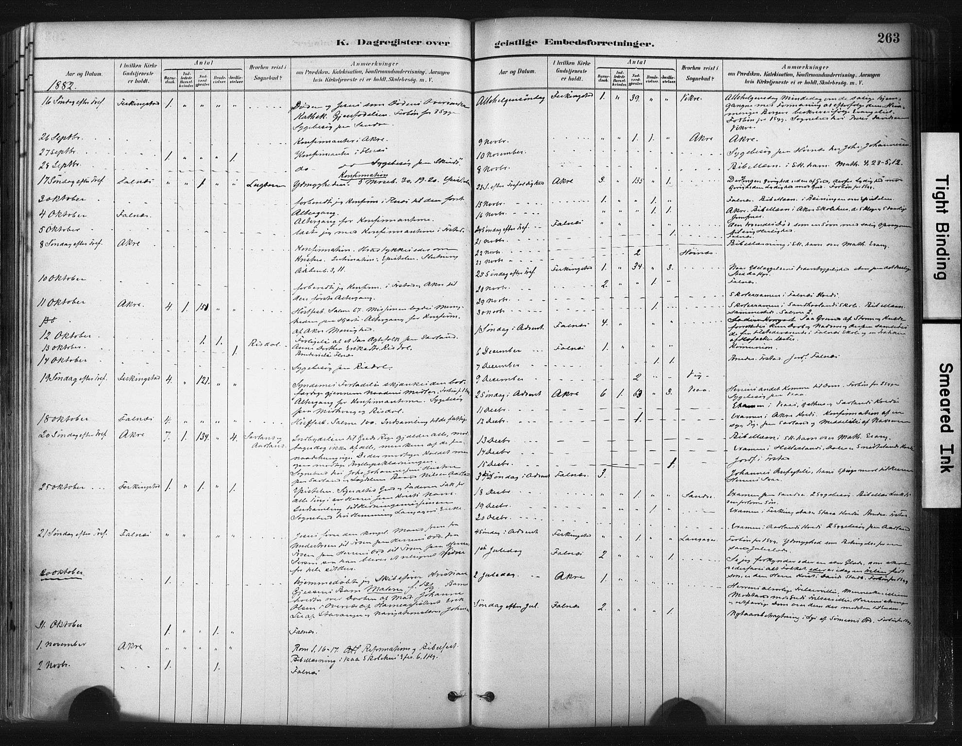 Skudenes sokneprestkontor, AV/SAST-A -101849/H/Ha/Haa/L0009: Parish register (official) no. A 6, 1882-1912, p. 263