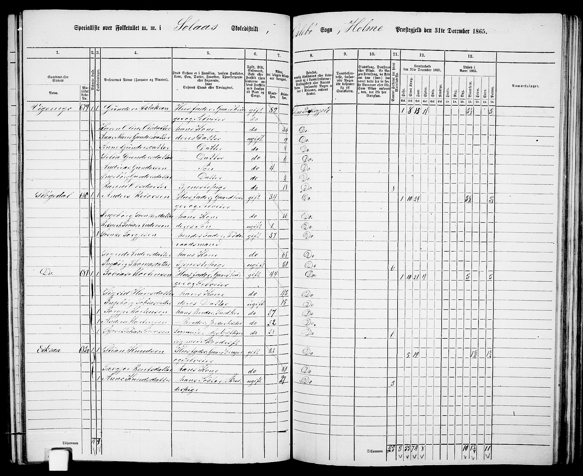 RA, 1865 census for Holum, 1865, p. 118