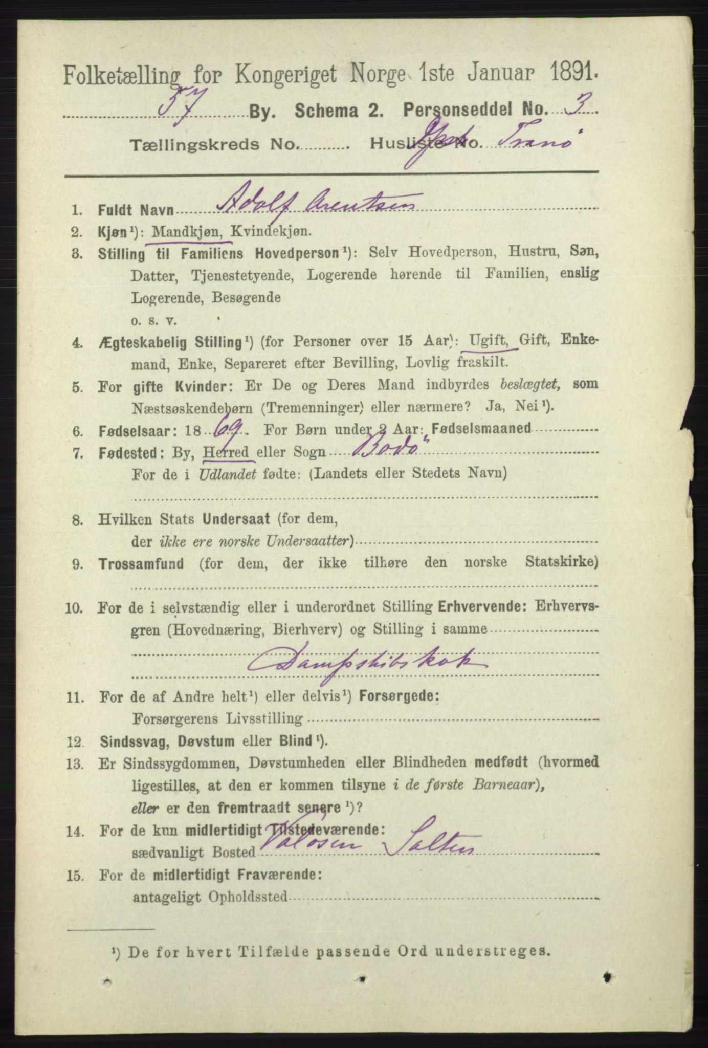 RA, 1891 census for 1804 Bodø, 1891, p. 4529