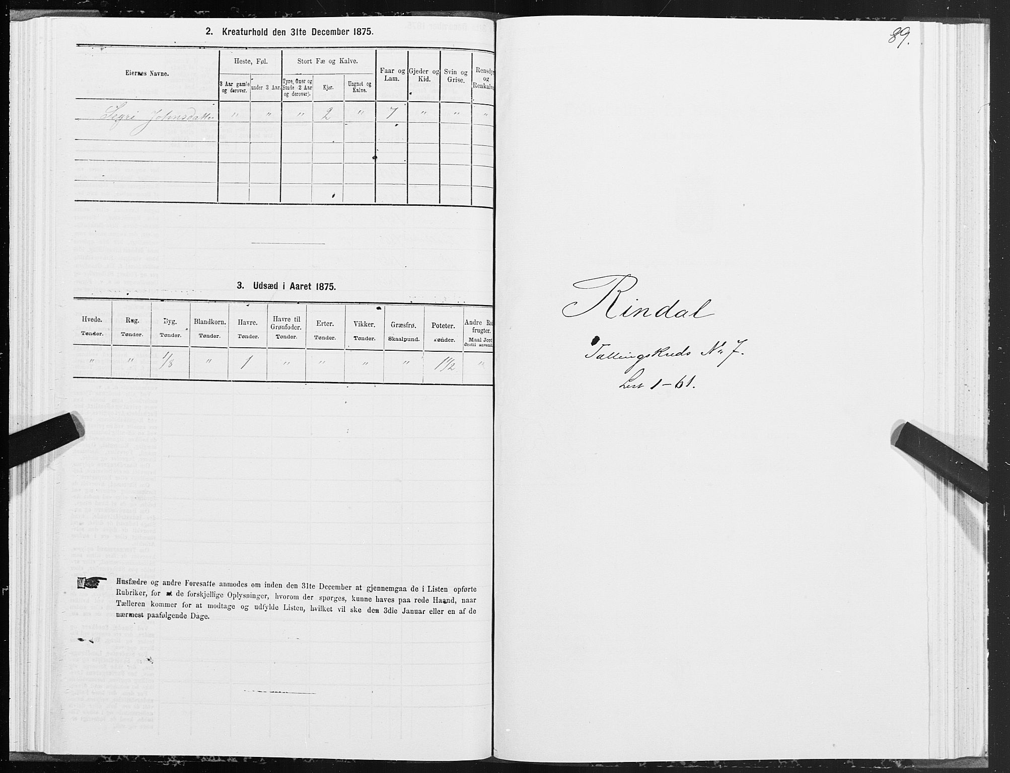 SAT, 1875 census for 1567P Rindal, 1875, p. 3089