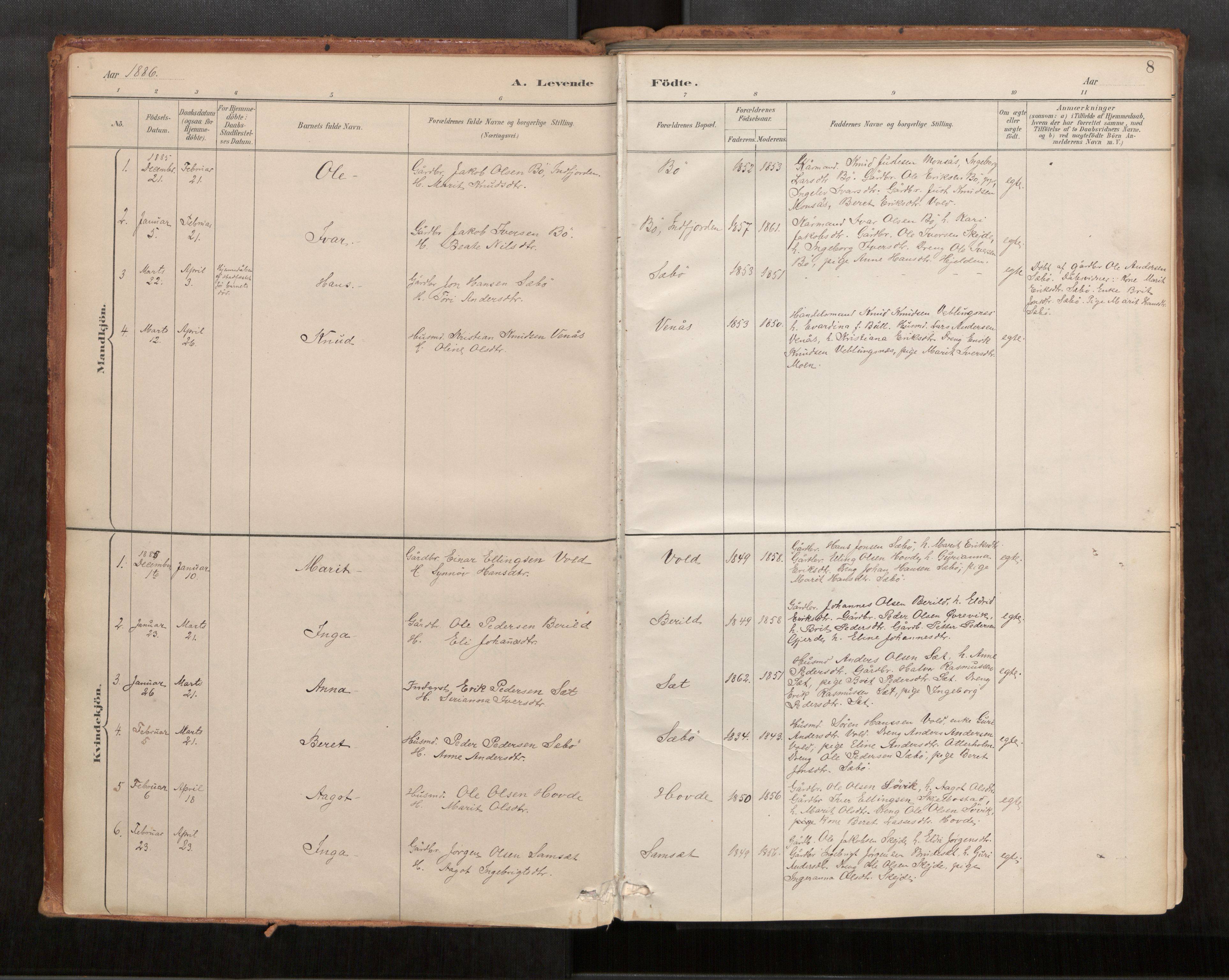 Ministerialprotokoller, klokkerbøker og fødselsregistre - Møre og Romsdal, SAT/A-1454/543/L0568: Parish register (official) no. 543A03, 1885-1915, p. 8