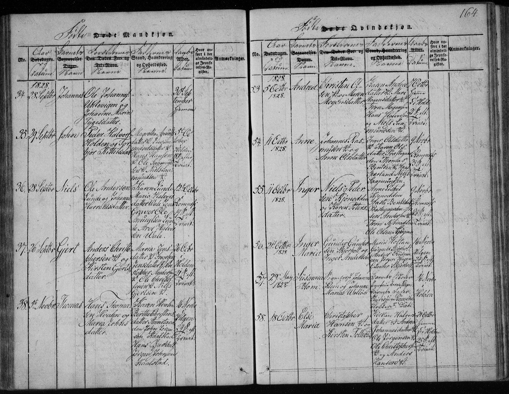 Holla kirkebøker, AV/SAKO-A-272/F/Fa/L0003: Parish register (official) no. 3, 1815-1830, p. 164