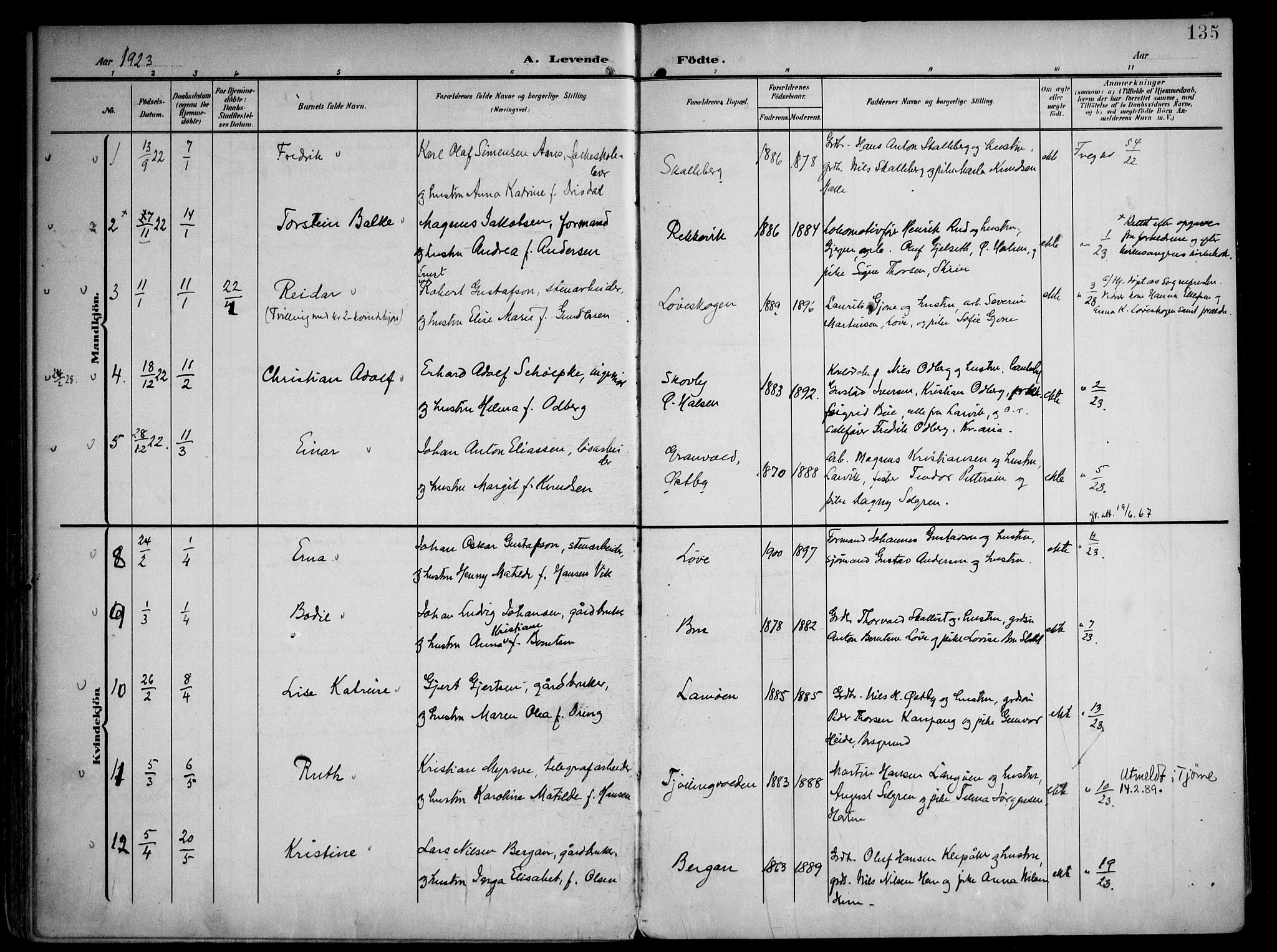 Tjølling kirkebøker, AV/SAKO-A-60/F/Fa/L0010: Parish register (official) no. 10, 1906-1923, p. 135