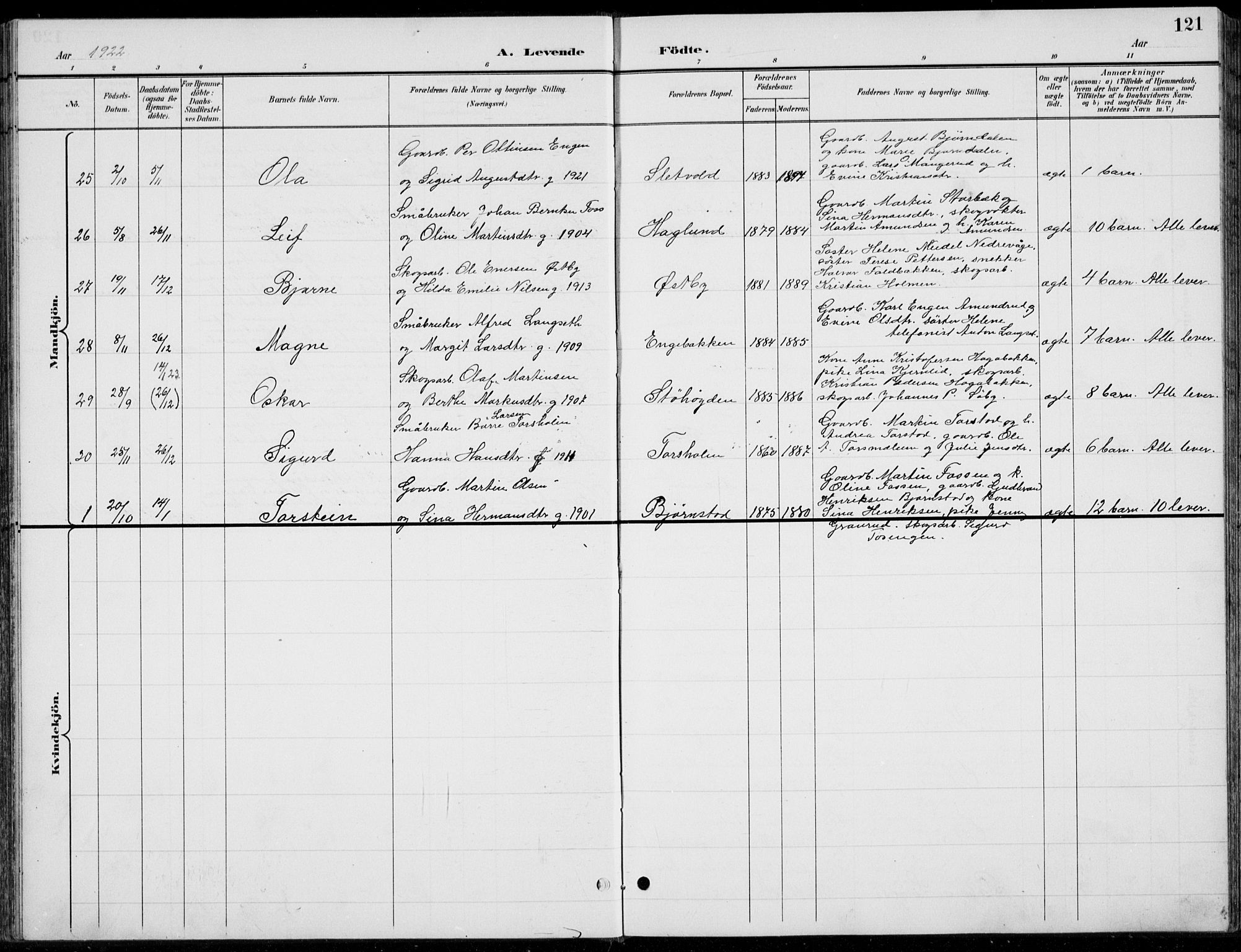 Romedal prestekontor, AV/SAH-PREST-004/L/L0013: Parish register (copy) no. 13, 1896-1937, p. 121