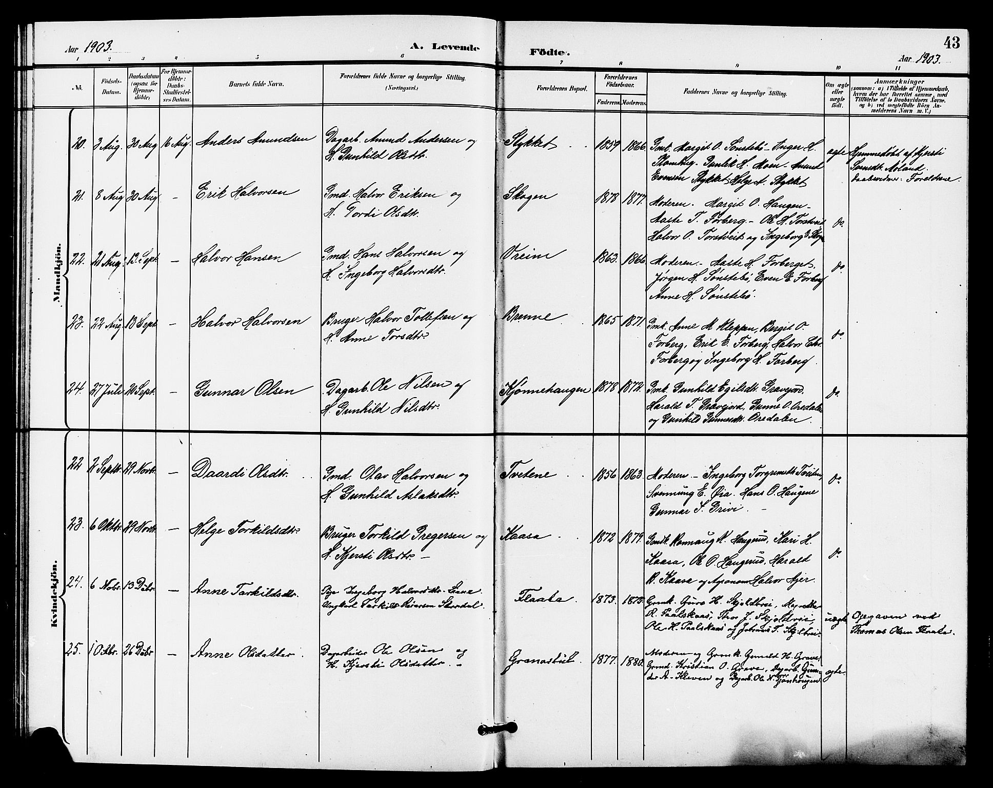 Bø kirkebøker, SAKO/A-257/G/Ga/L0006: Parish register (copy) no. 6, 1898-1909, p. 43