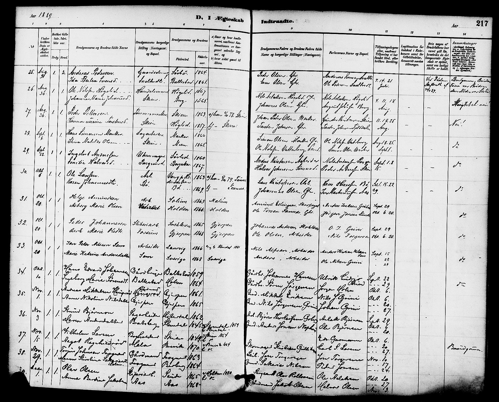 Gjerpen kirkebøker, SAKO/A-265/F/Fa/L0010: Parish register (official) no. I 10, 1886-1895, p. 217