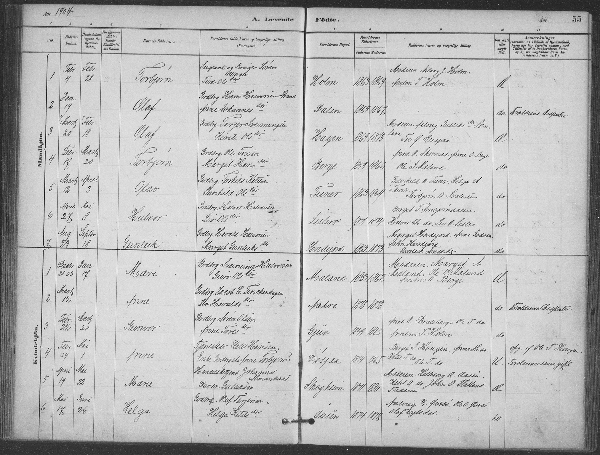 Hjartdal kirkebøker, SAKO/A-270/F/Fa/L0010: Parish register (official) no. I 10, 1880-1929, p. 55