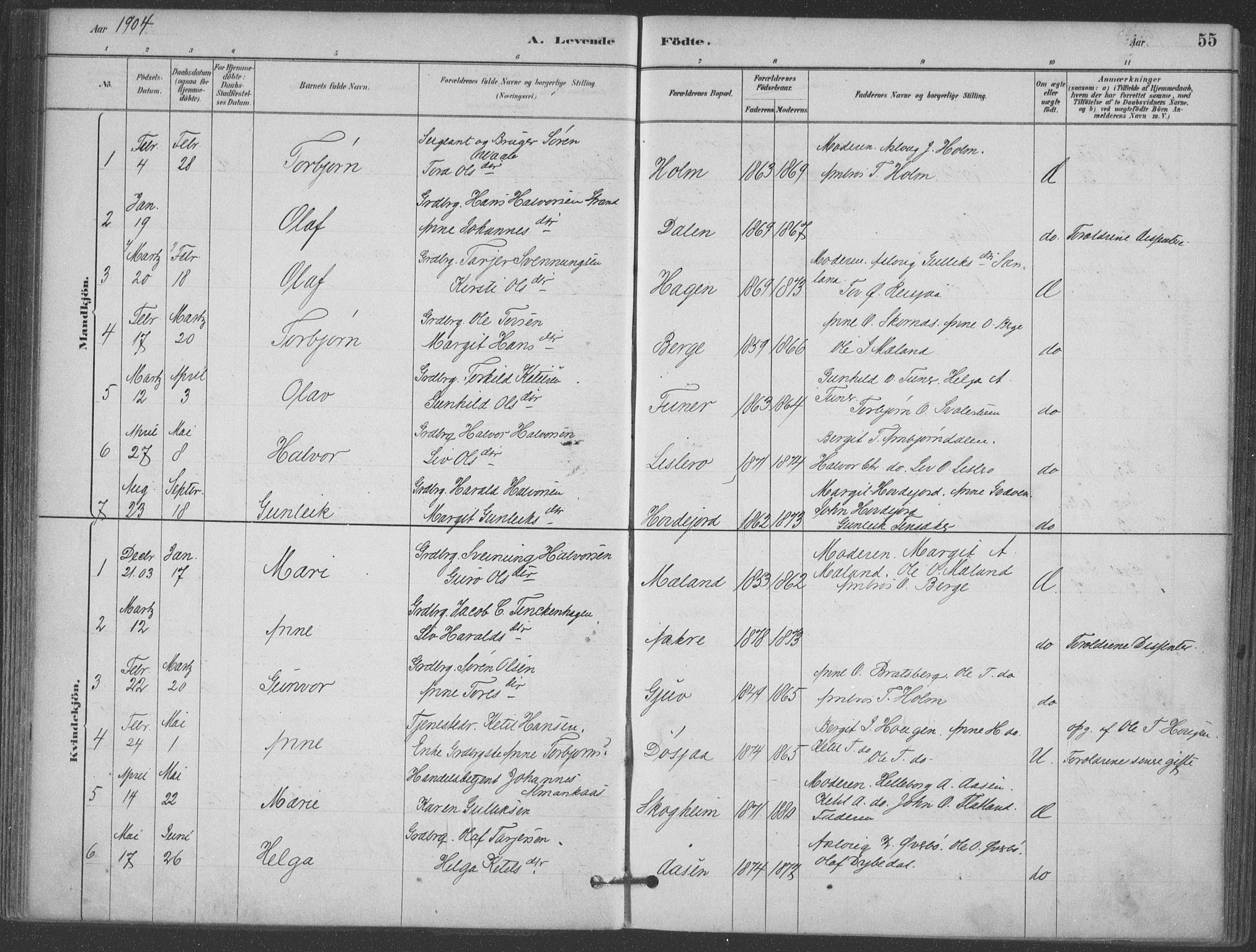 Hjartdal kirkebøker, AV/SAKO-A-270/F/Fa/L0010: Parish register (official) no. I 10, 1880-1929, p. 55