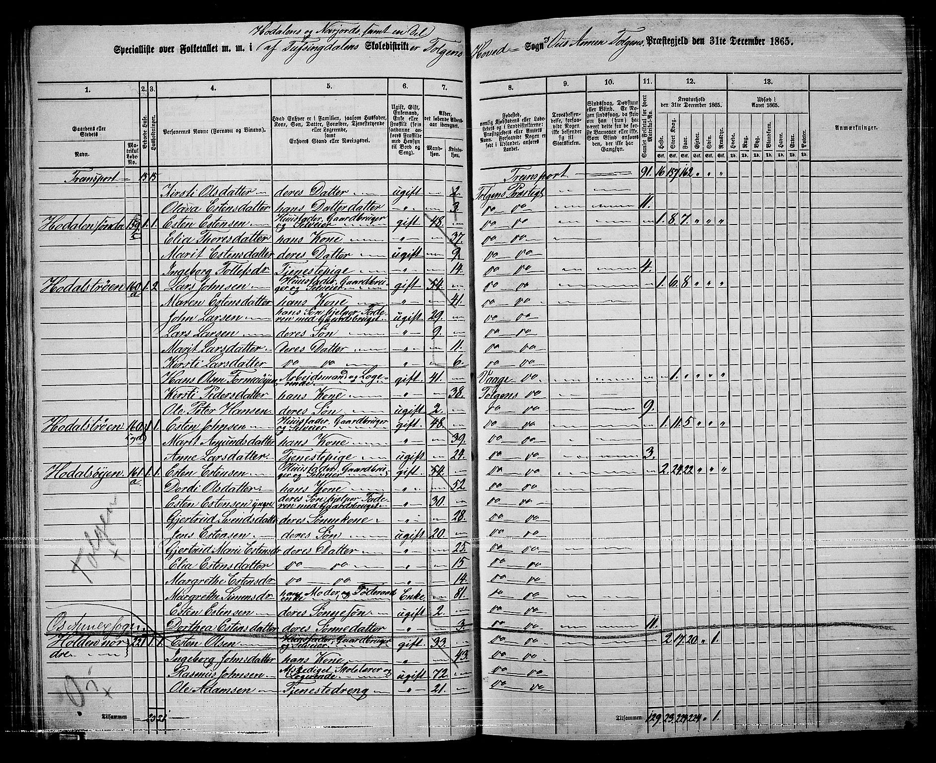 RA, 1865 census for Tolga, 1865, p. 69