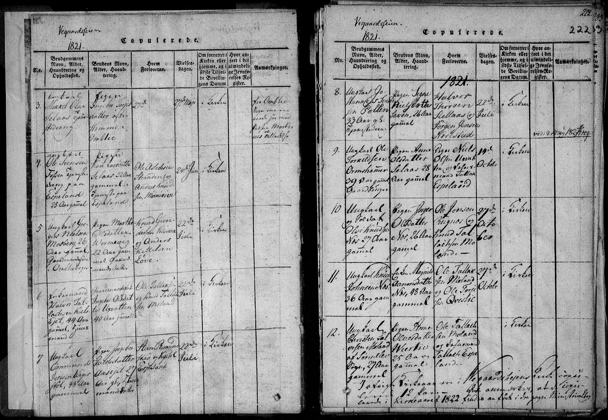 Holt sokneprestkontor, AV/SAK-1111-0021/F/Fa/L0005: Parish register (official) no. A 5, 1813-1821, p. 222