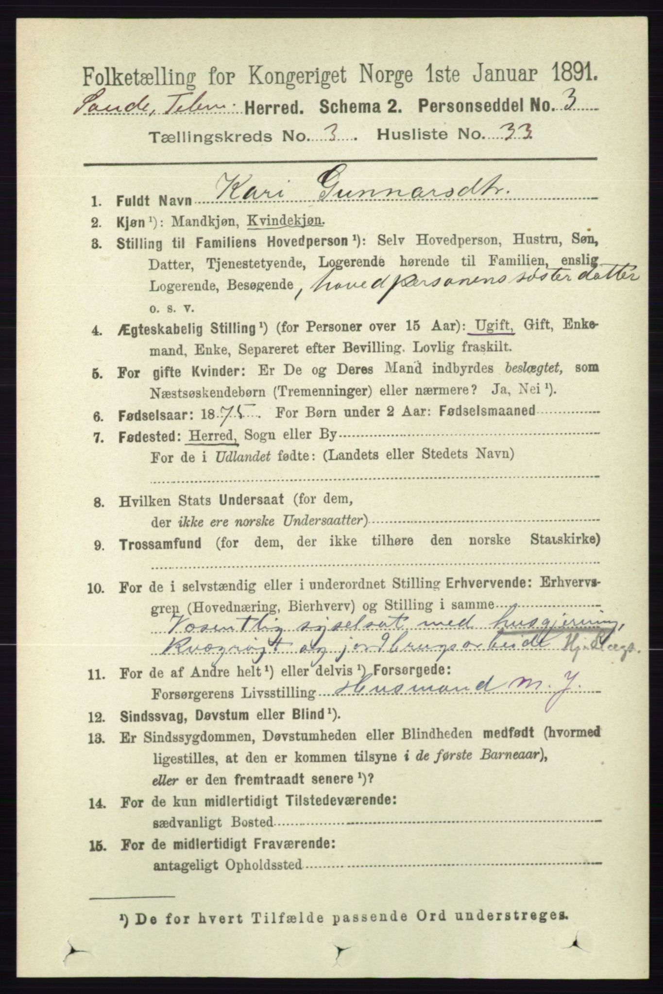 RA, 1891 census for 0822 Sauherad, 1891, p. 911