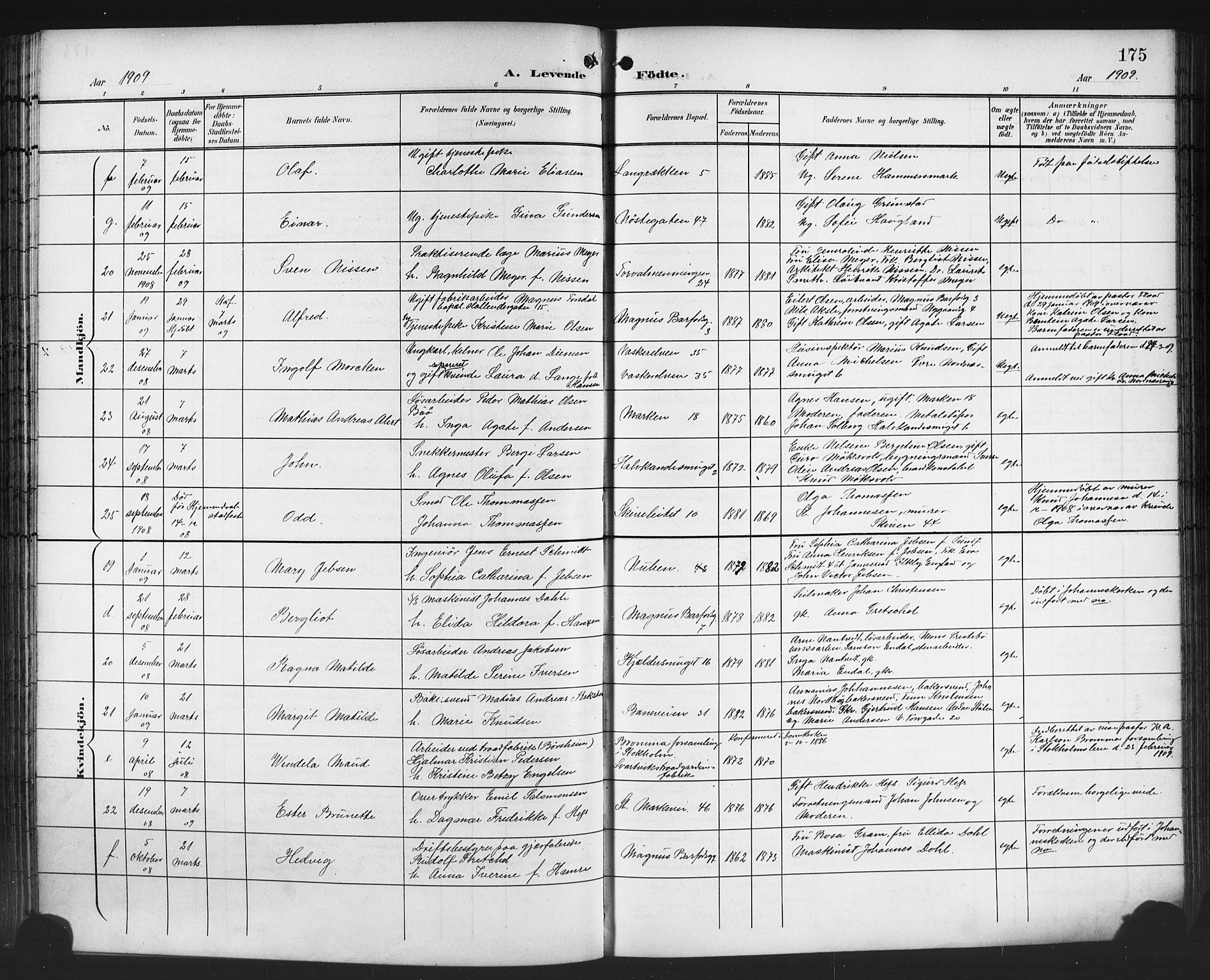 Domkirken sokneprestembete, AV/SAB-A-74801/H/Hab/L0017: Parish register (copy) no. B 10, 1900-1915, p. 175