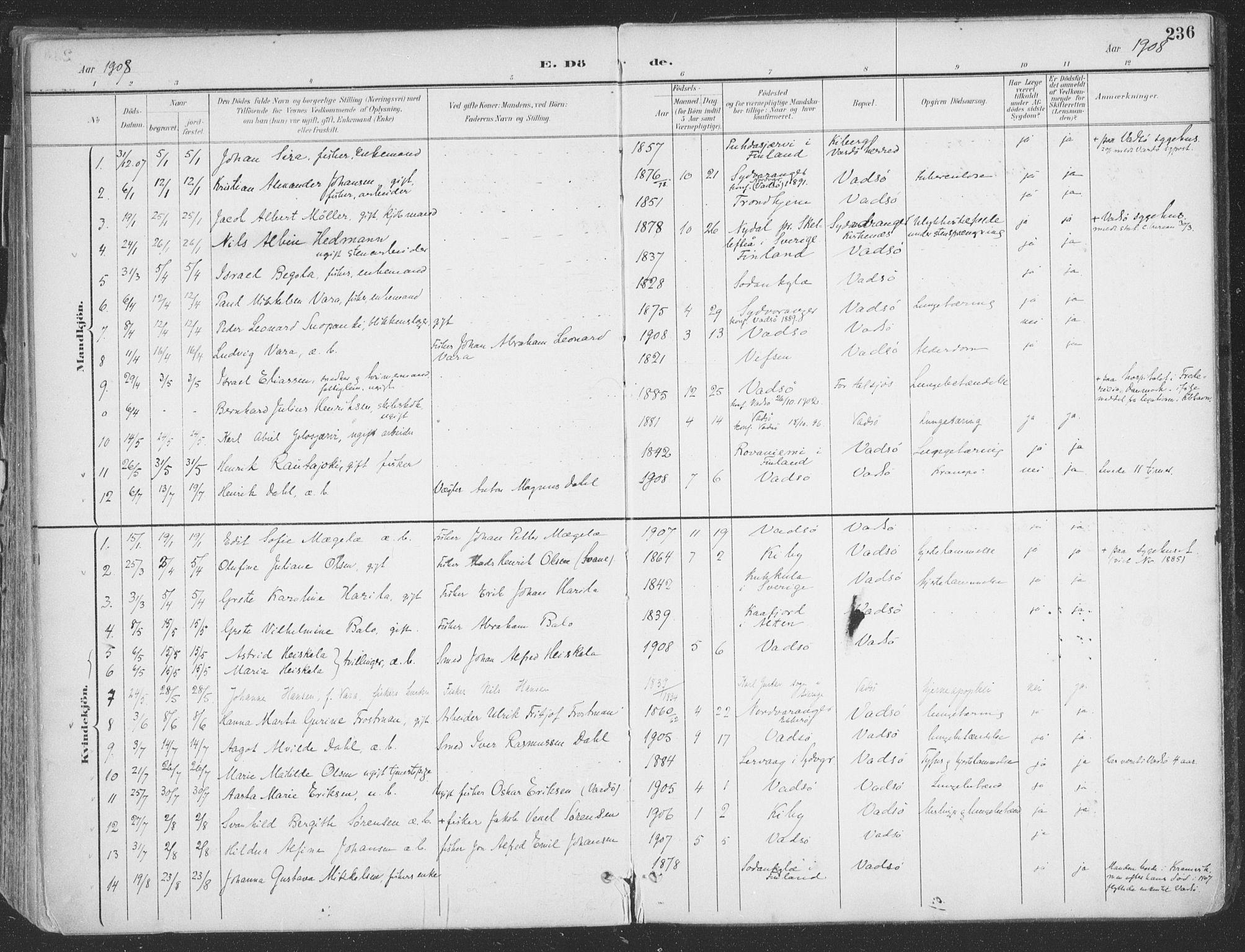 Vadsø sokneprestkontor, SATØ/S-1325/H/Ha/L0007kirke: Parish register (official) no. 7, 1896-1916, p. 236