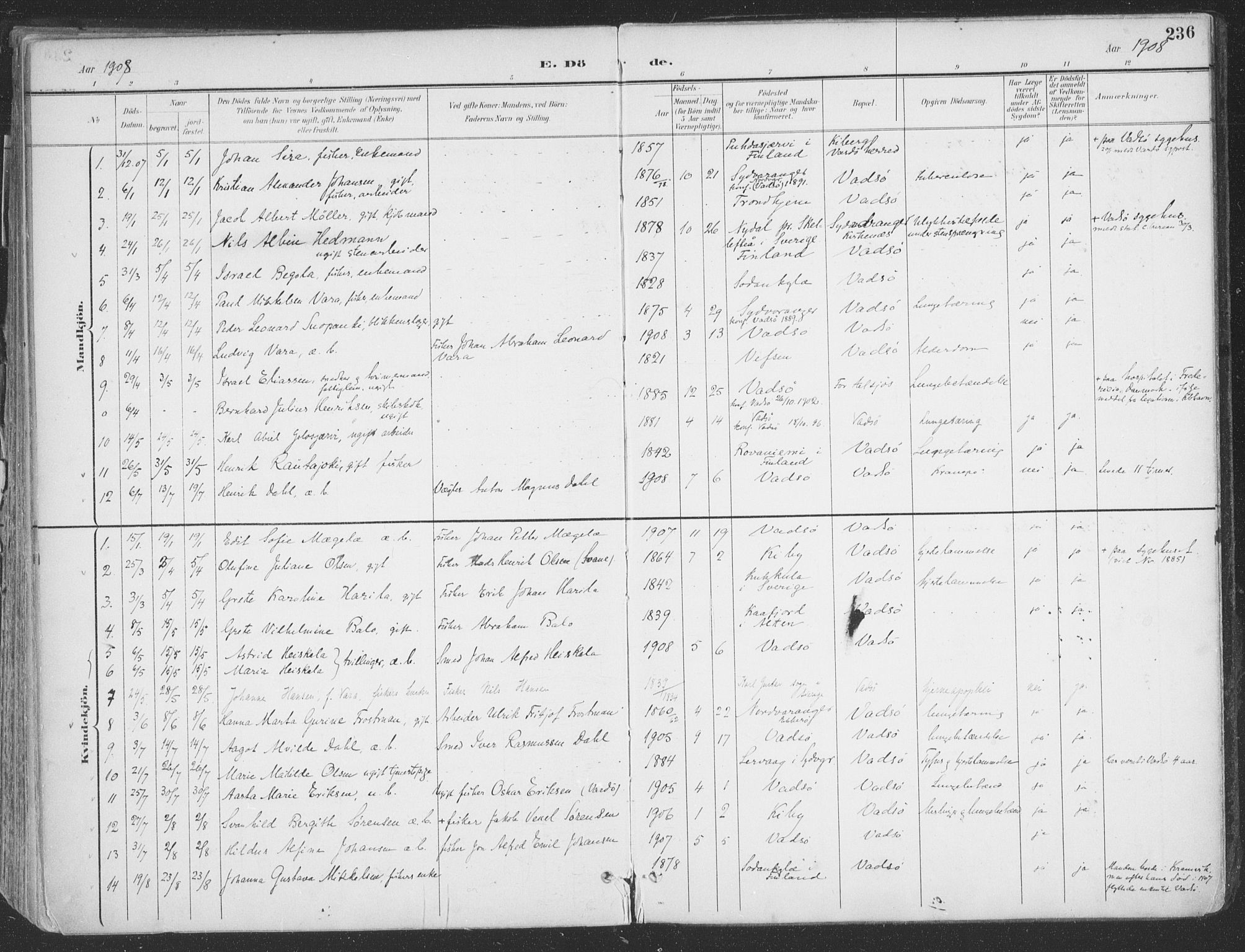Vadsø sokneprestkontor, AV/SATØ-S-1325/H/Ha/L0007kirke: Parish register (official) no. 7, 1896-1916, p. 236