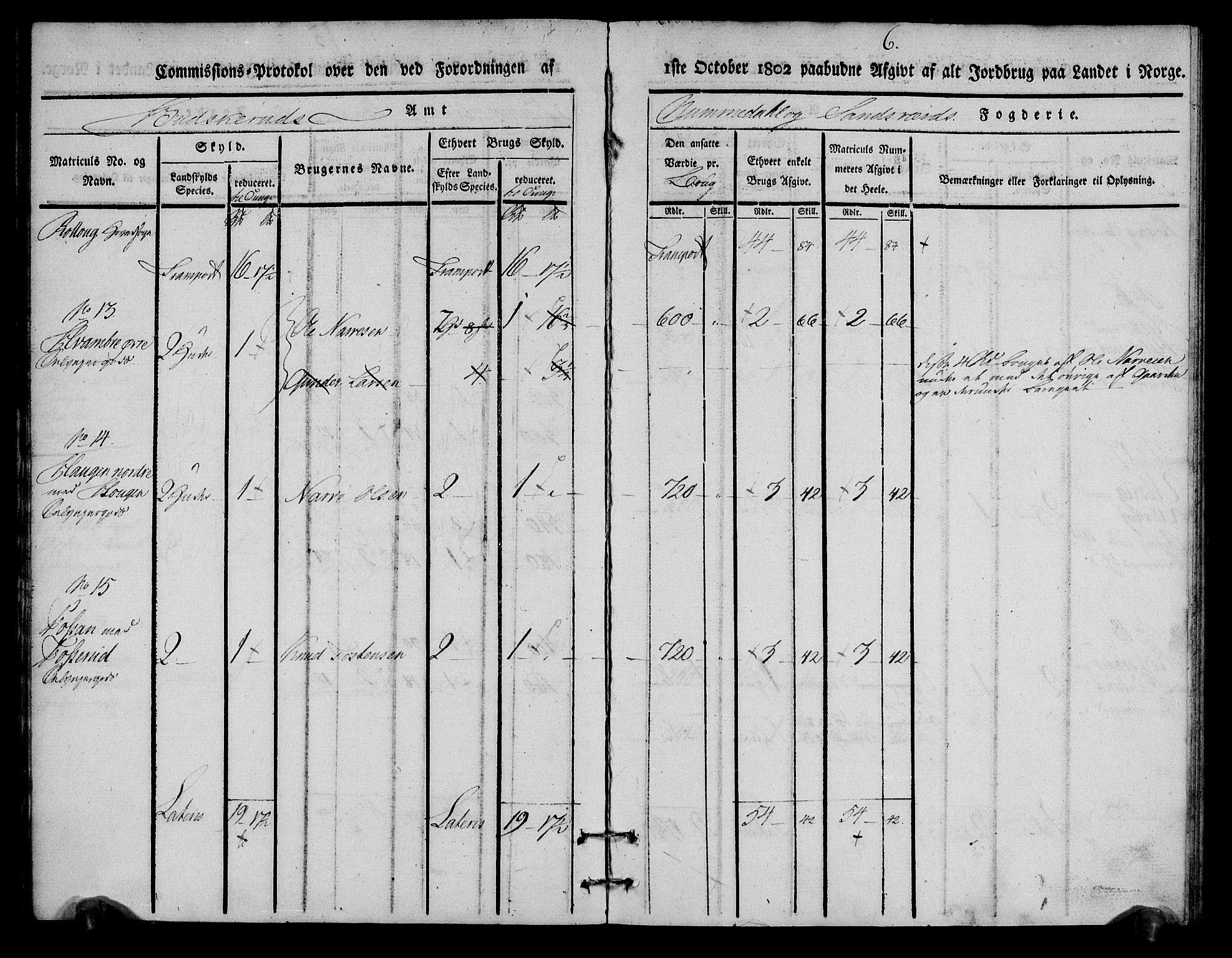 Rentekammeret inntil 1814, Realistisk ordnet avdeling, AV/RA-EA-4070/N/Ne/Nea/L0056a: Numedal og Sandsvær fogderi. Kommisjonsprotokoll for Rollag hovedsogn og Veggli anneks, 1803, p. 6