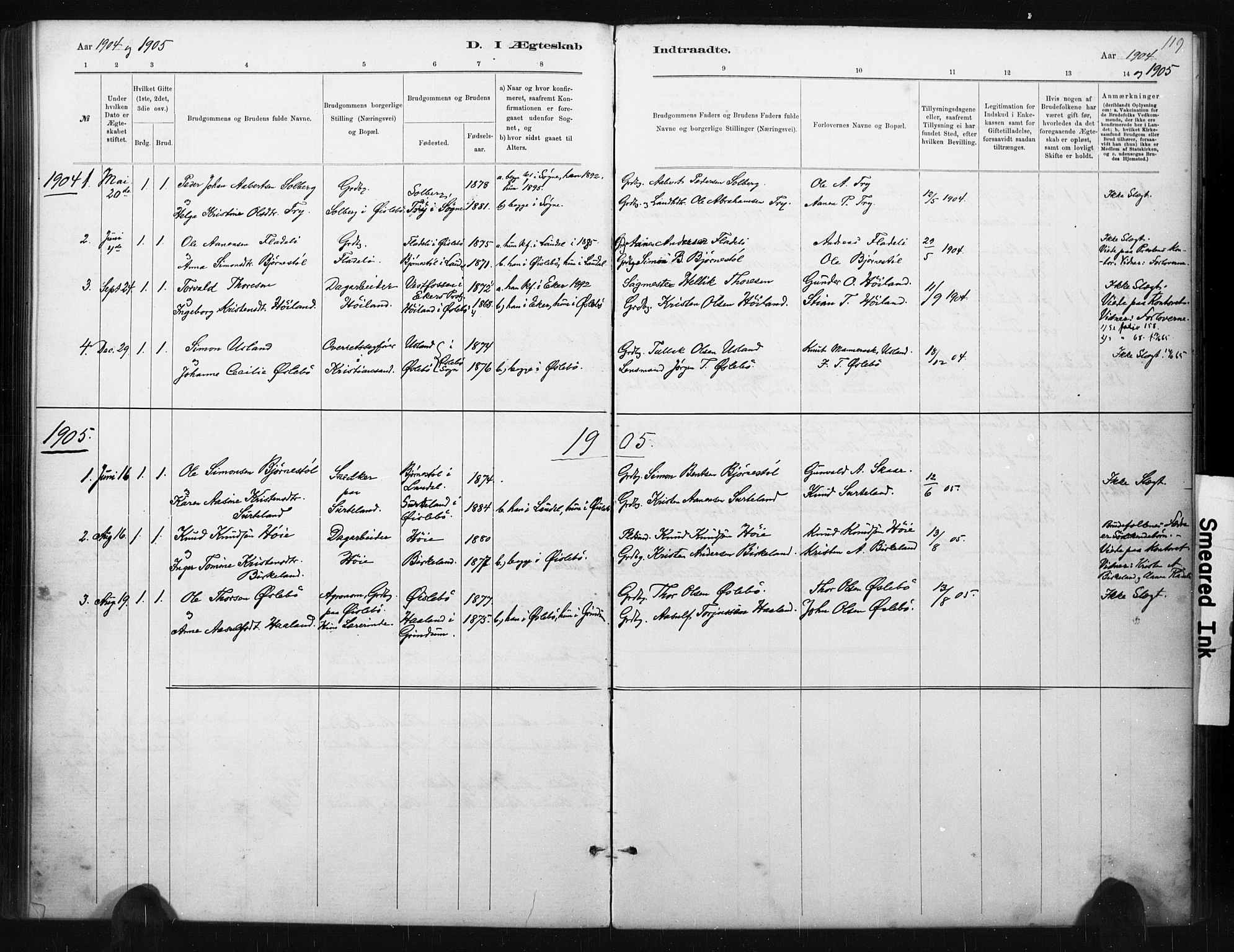 Holum sokneprestkontor, AV/SAK-1111-0022/F/Fa/Fac/L0004: Parish register (official) no. A 4, 1884-1907, p. 119