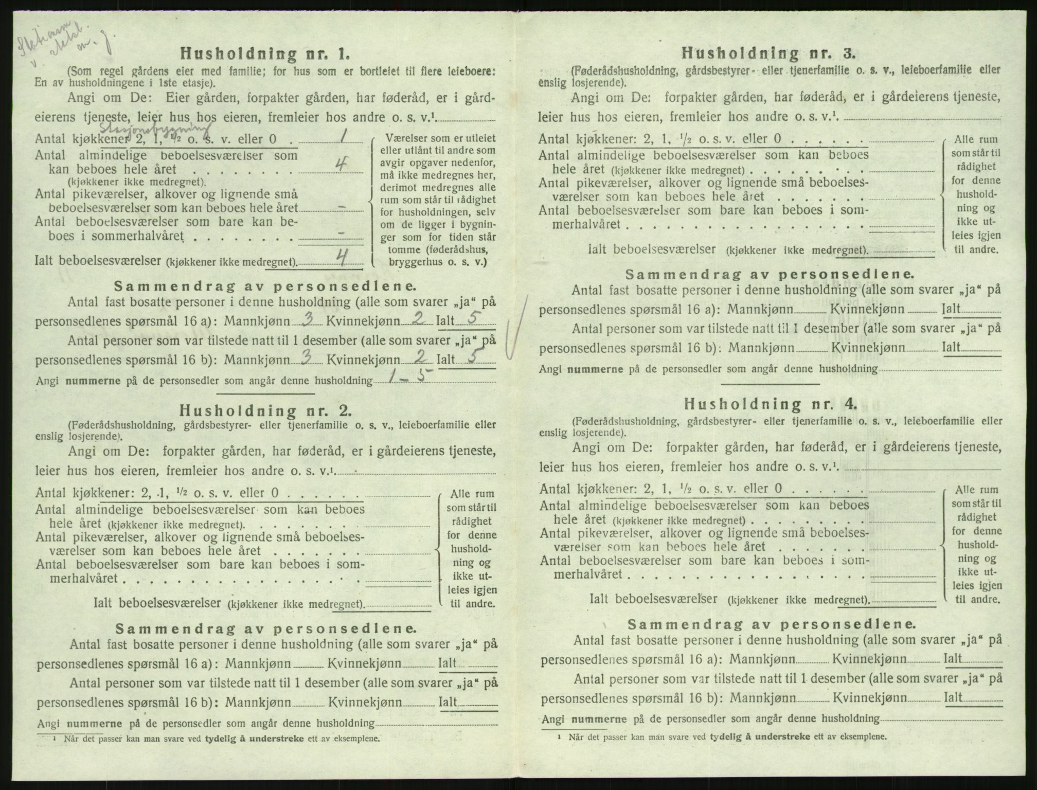 SAK, 1920 census for Hornnes, 1920, p. 460