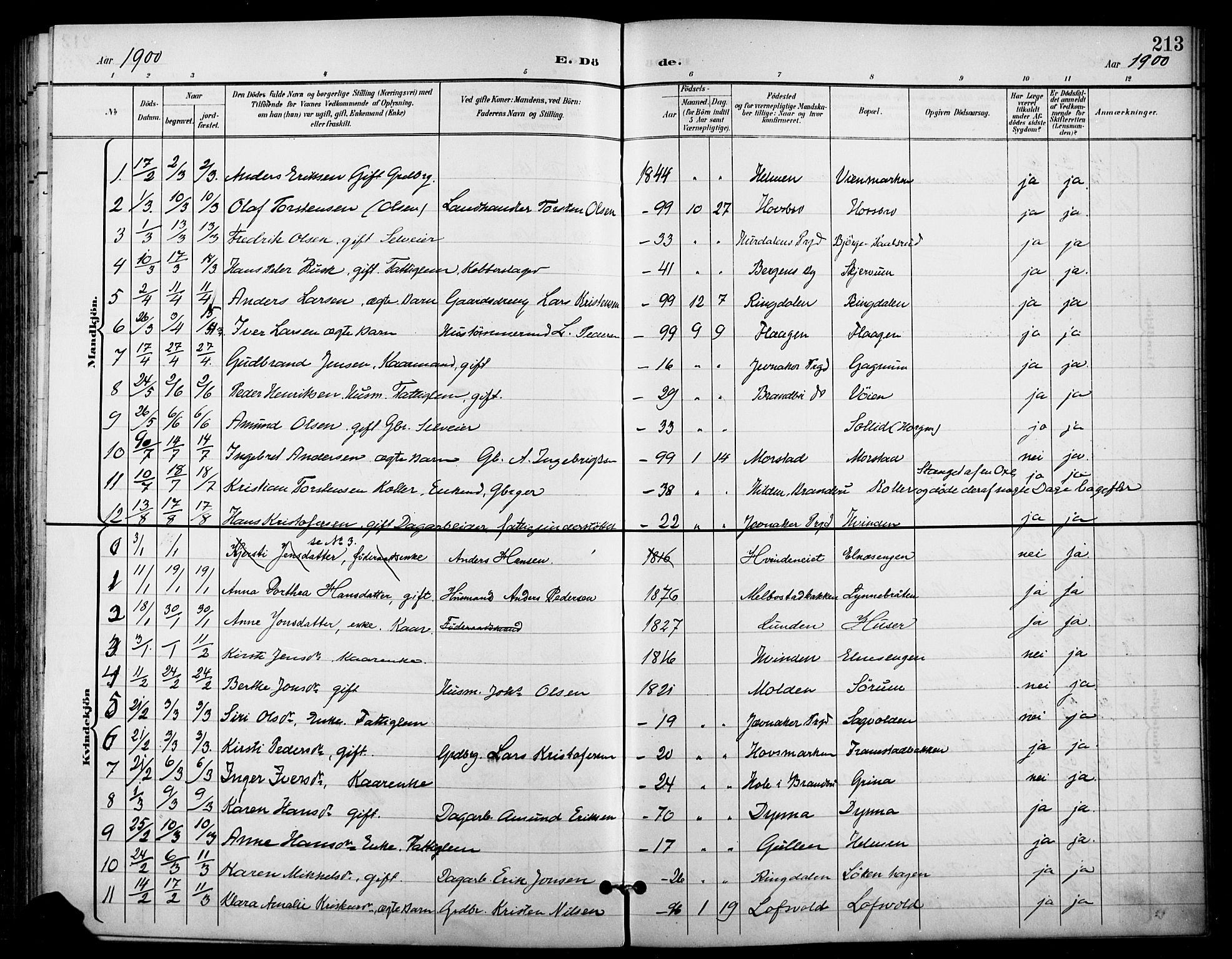 Gran prestekontor, SAH/PREST-112/H/Ha/Haa/L0019: Parish register (official) no. 19, 1898-1907, p. 213