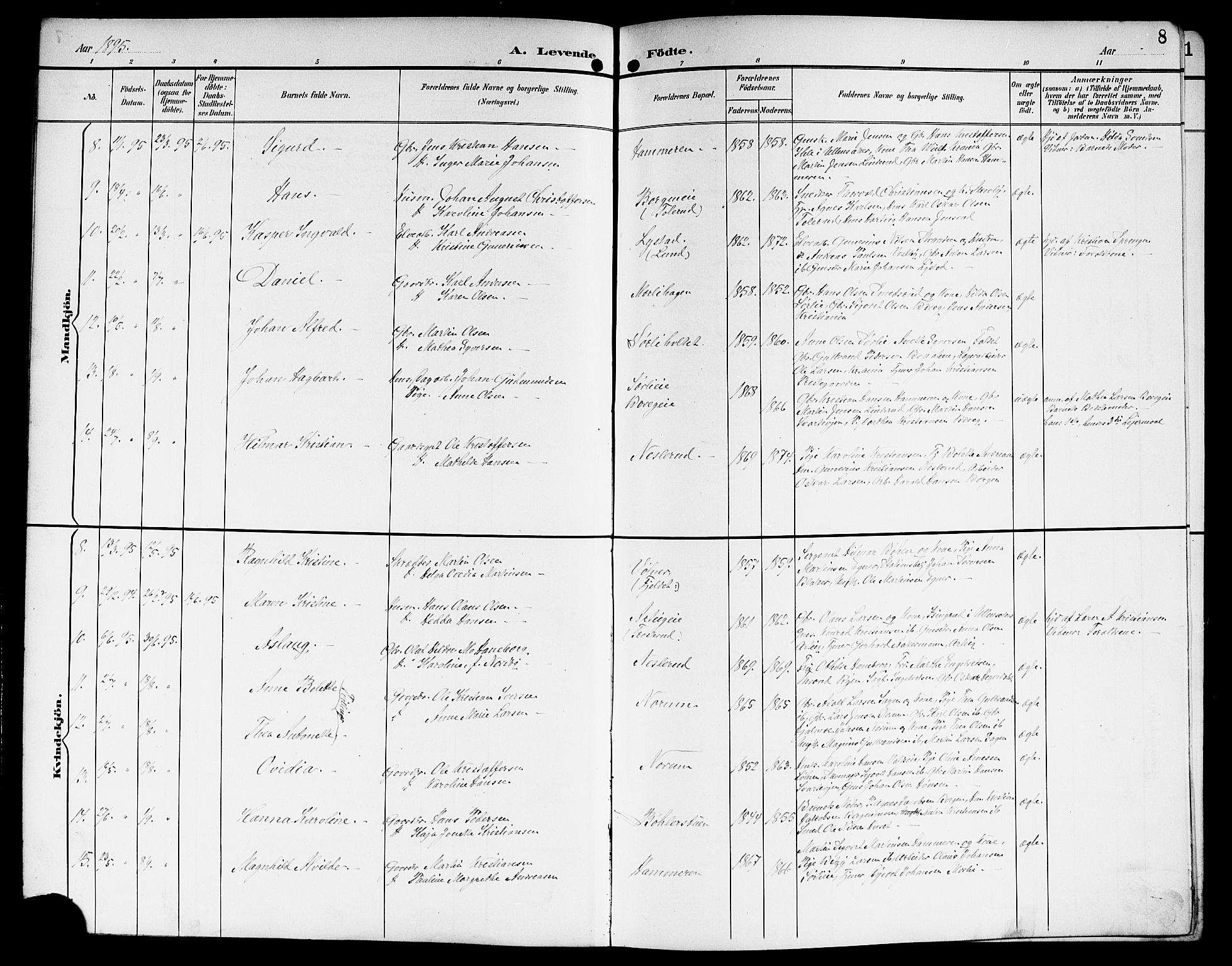 Sørum prestekontor Kirkebøker, AV/SAO-A-10303/G/Ga/L0006: Parish register (copy) no. I 6, 1894-1906, p. 8