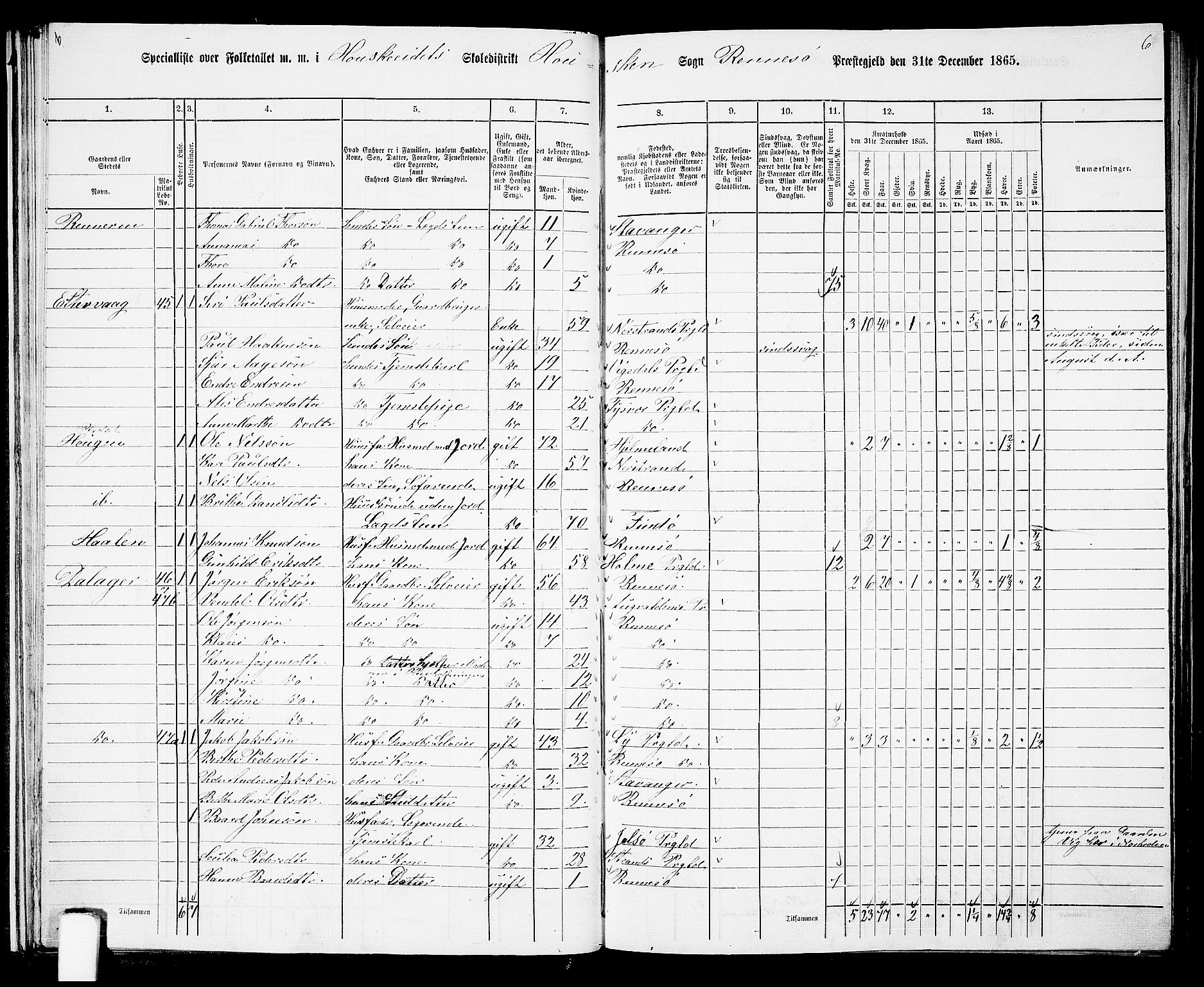 RA, 1865 census for Rennesøy, 1865, p. 29