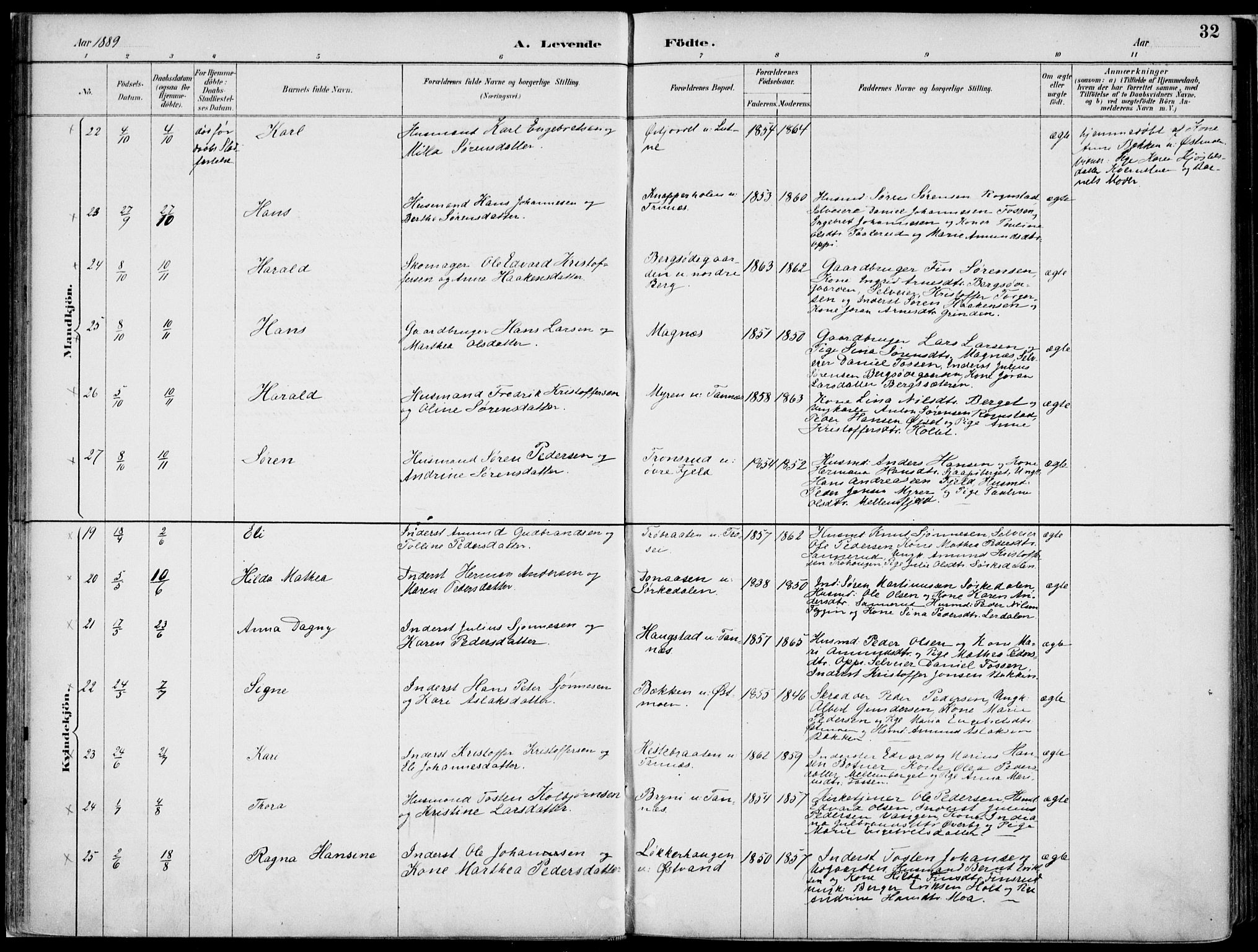 Nord-Odal prestekontor, SAH/PREST-032/H/Ha/Haa/L0008: Parish register (official) no. 8, 1886-1901, p. 32