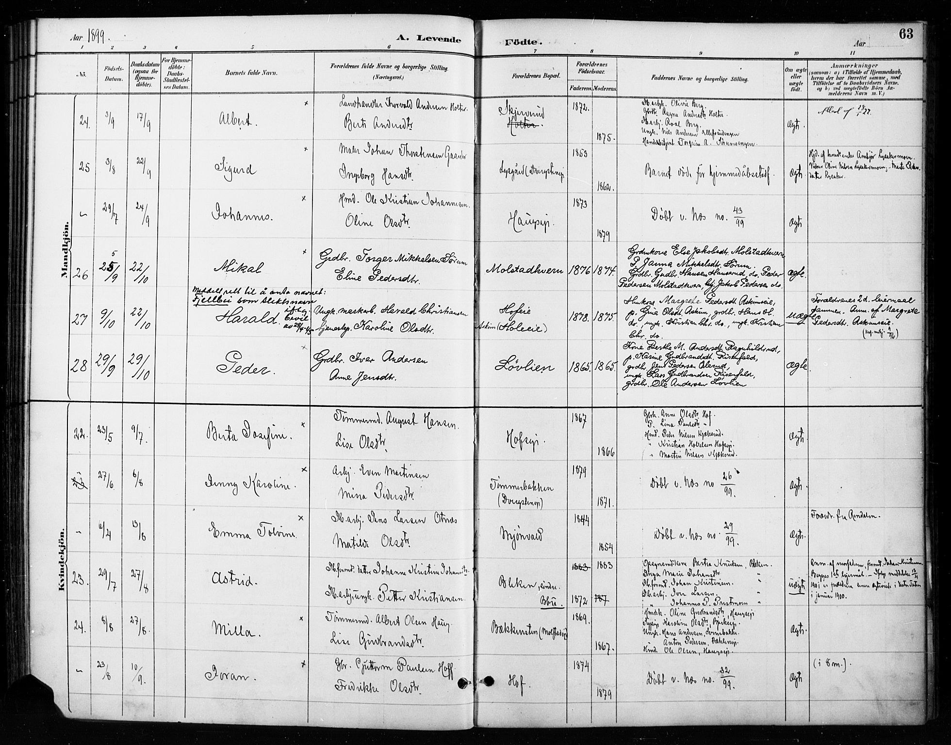 Gran prestekontor, AV/SAH-PREST-112/H/Ha/Haa/L0018: Parish register (official) no. 18, 1889-1899, p. 63