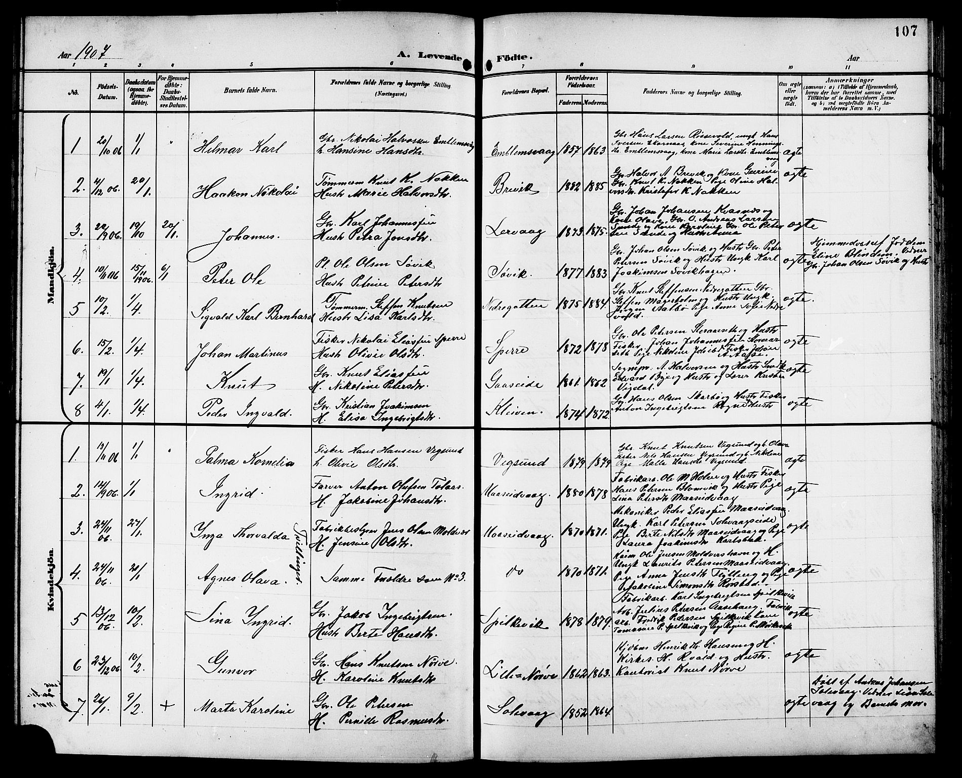 Ministerialprotokoller, klokkerbøker og fødselsregistre - Møre og Romsdal, AV/SAT-A-1454/528/L0432: Parish register (copy) no. 528C13, 1898-1918, p. 107