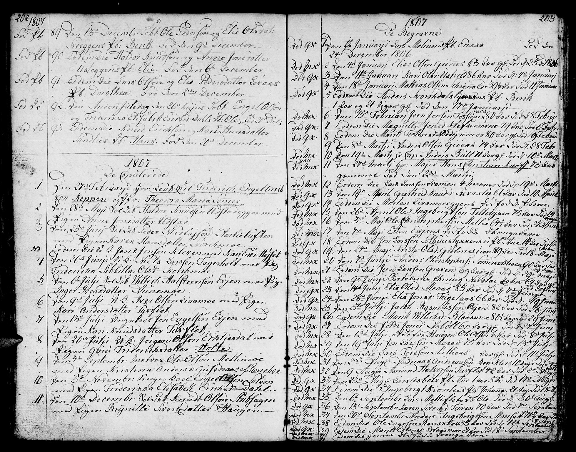 Ministerialprotokoller, klokkerbøker og fødselsregistre - Sør-Trøndelag, SAT/A-1456/668/L0815: Parish register (copy) no. 668C04, 1791-1815, p. 202-203