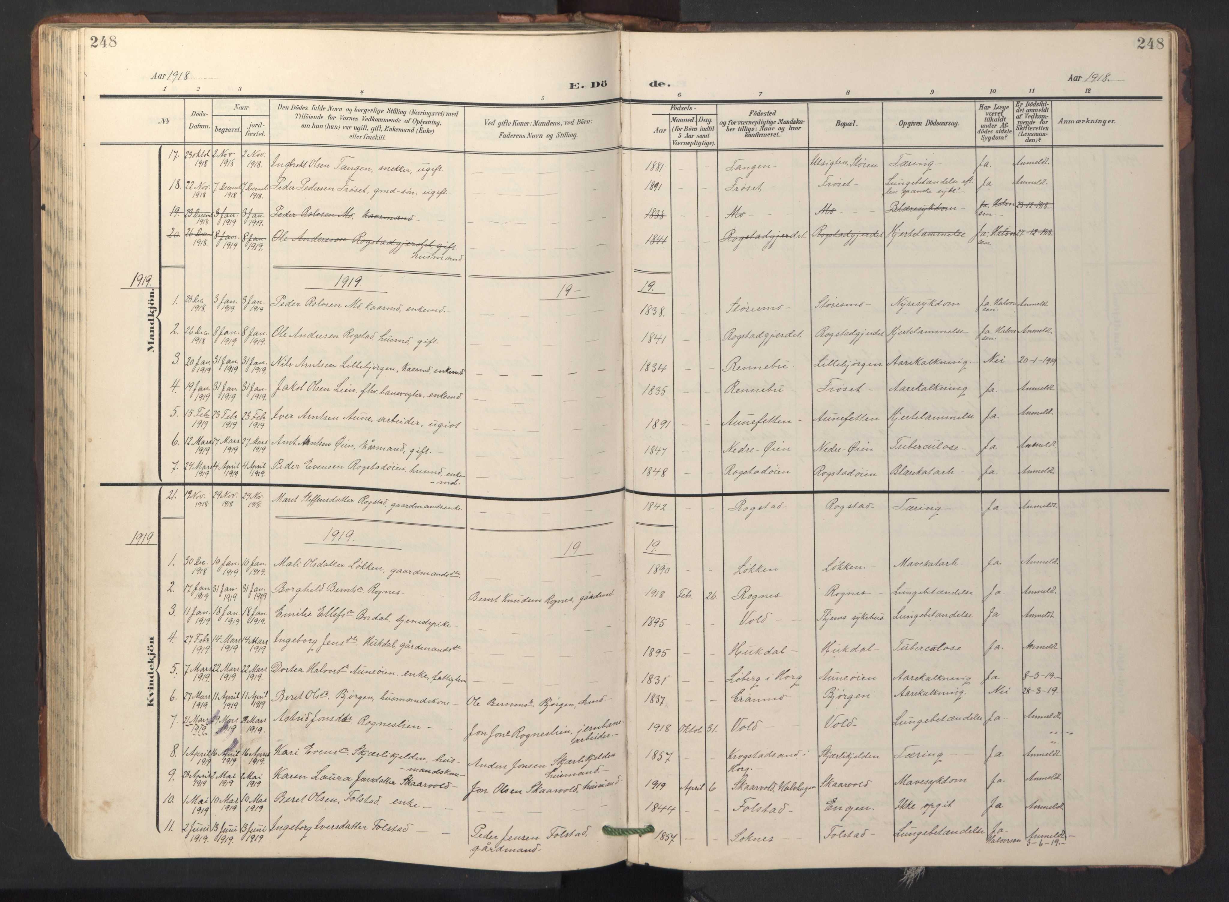 Ministerialprotokoller, klokkerbøker og fødselsregistre - Sør-Trøndelag, SAT/A-1456/687/L1019: Parish register (copy) no. 687C03, 1904-1931, p. 248