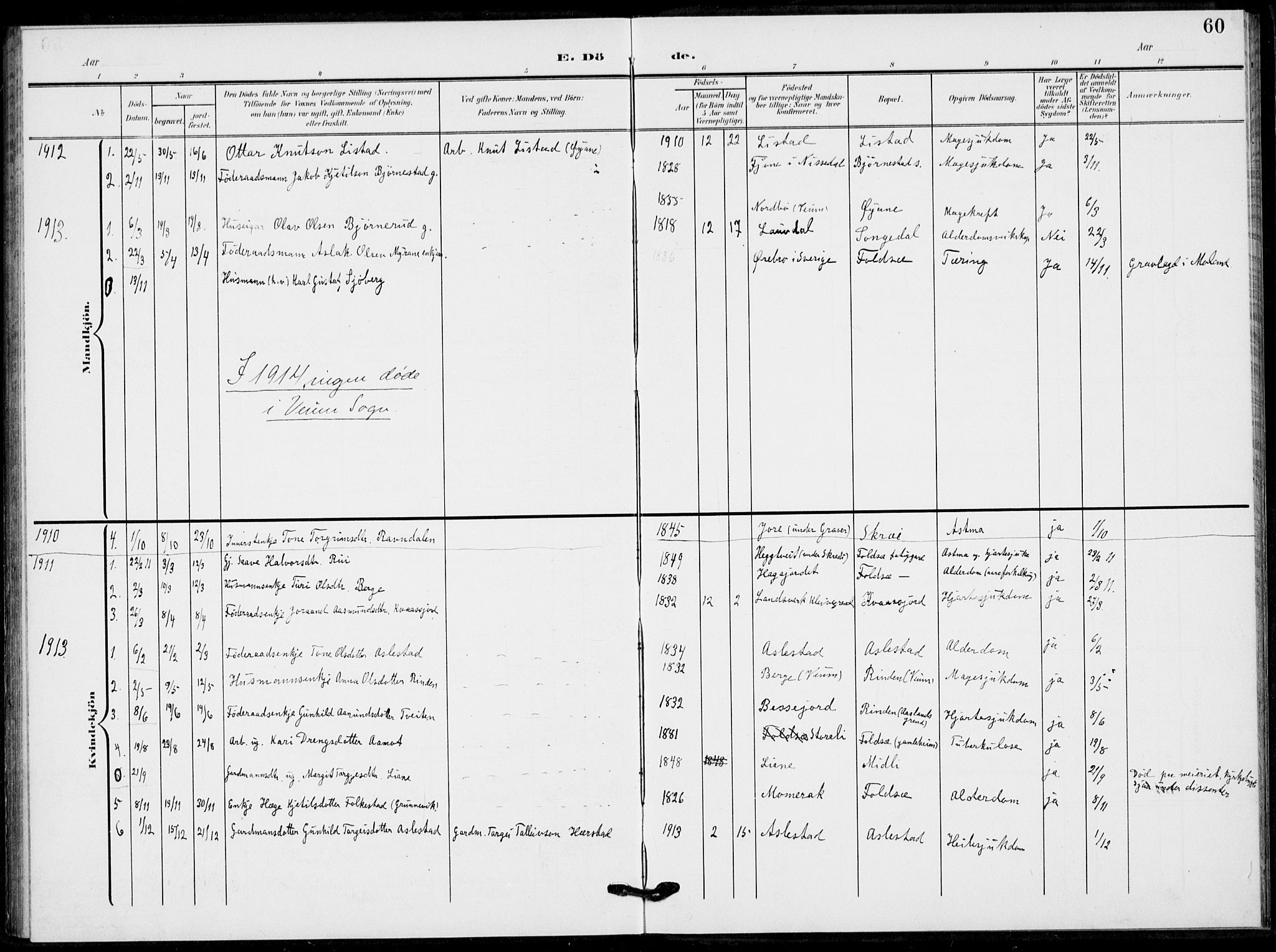 Fyresdal kirkebøker, SAKO/A-263/F/Fb/L0004: Parish register (official) no. II 4, 1903-1920, p. 60