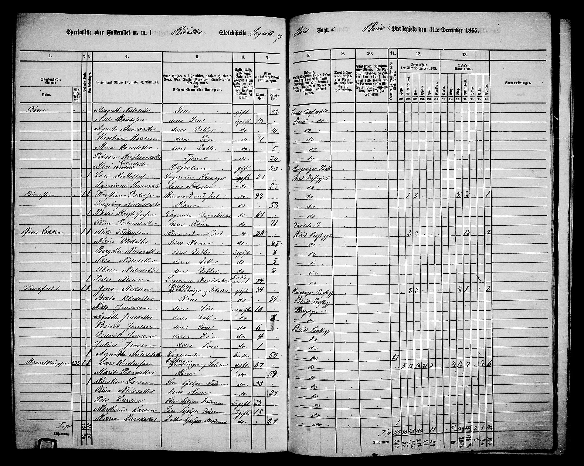 RA, 1865 census for Biri, 1865, p. 204