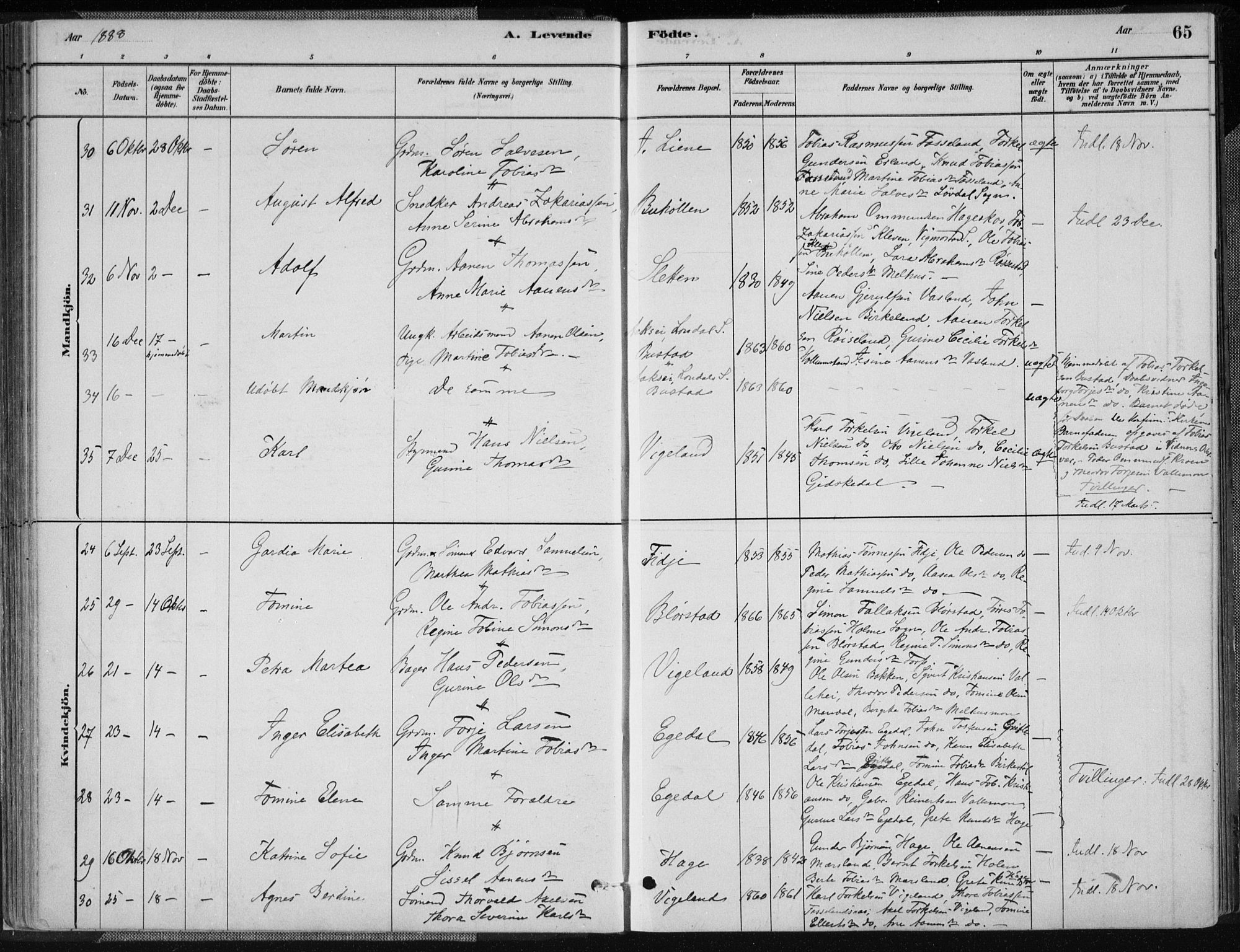 Sør-Audnedal sokneprestkontor, AV/SAK-1111-0039/F/Fa/Fab/L0009: Parish register (official) no. A 9, 1880-1895, p. 65