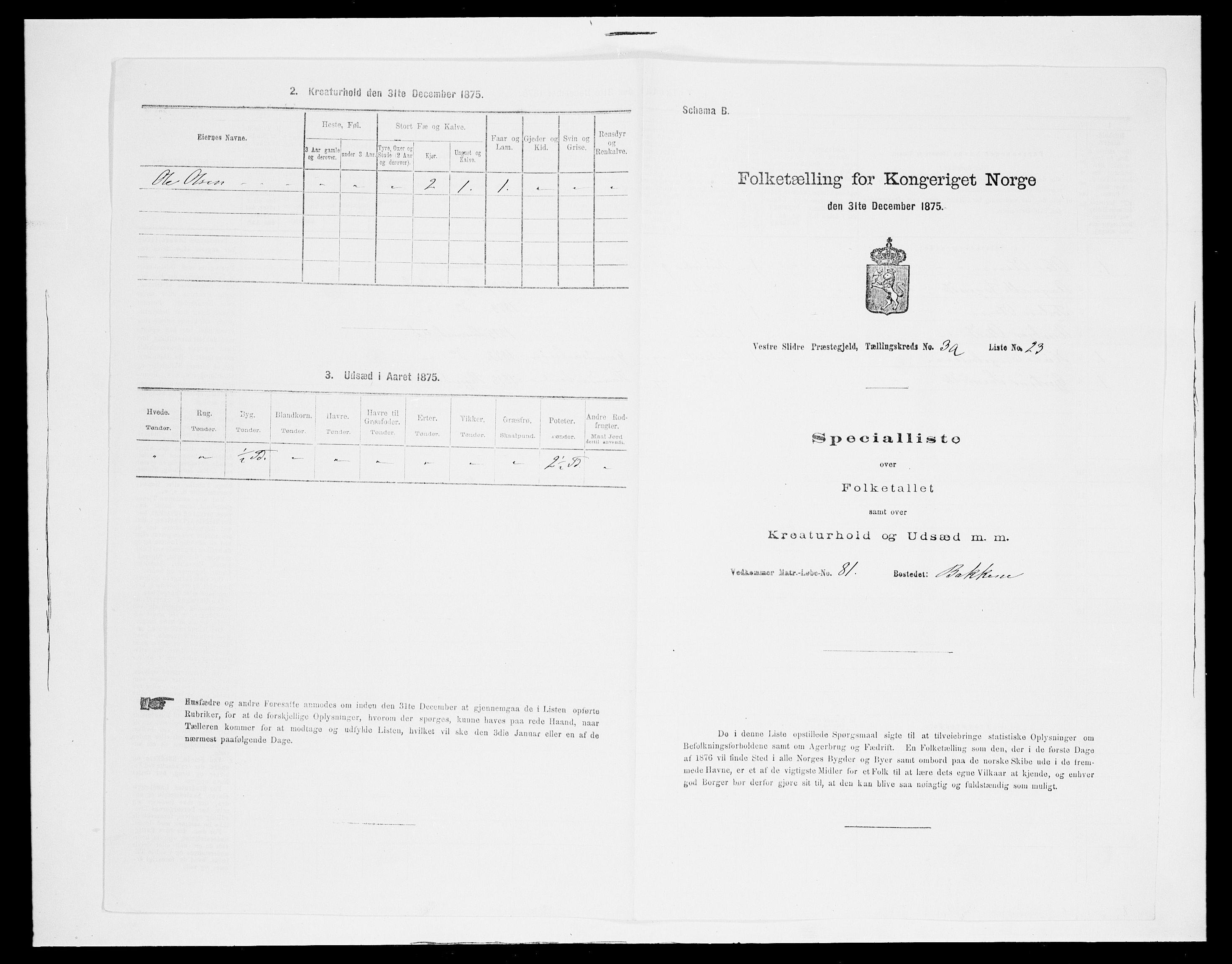 SAH, 1875 census for 0543P Vestre Slidre, 1875, p. 320