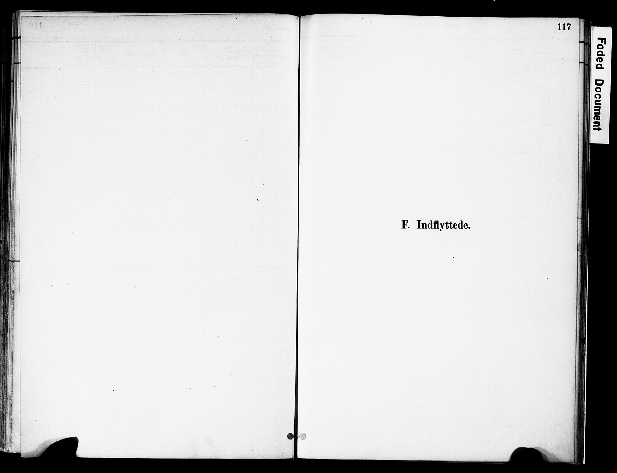 Vestre Slidre prestekontor, SAH/PREST-136/H/Ha/Haa/L0004: Parish register (official) no. 4, 1881-1911, p. 117