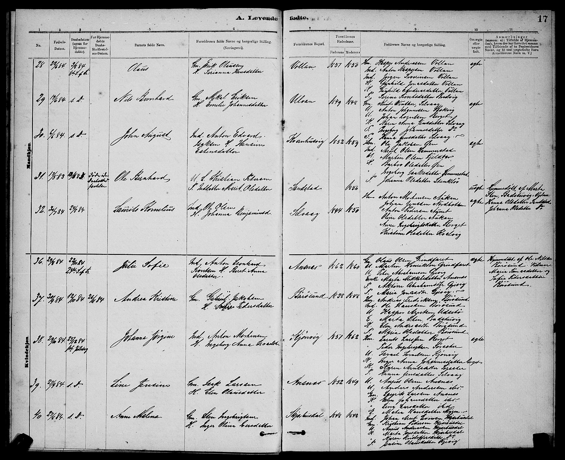 Ministerialprotokoller, klokkerbøker og fødselsregistre - Sør-Trøndelag, AV/SAT-A-1456/637/L0562: Parish register (copy) no. 637C03, 1883-1898, p. 17