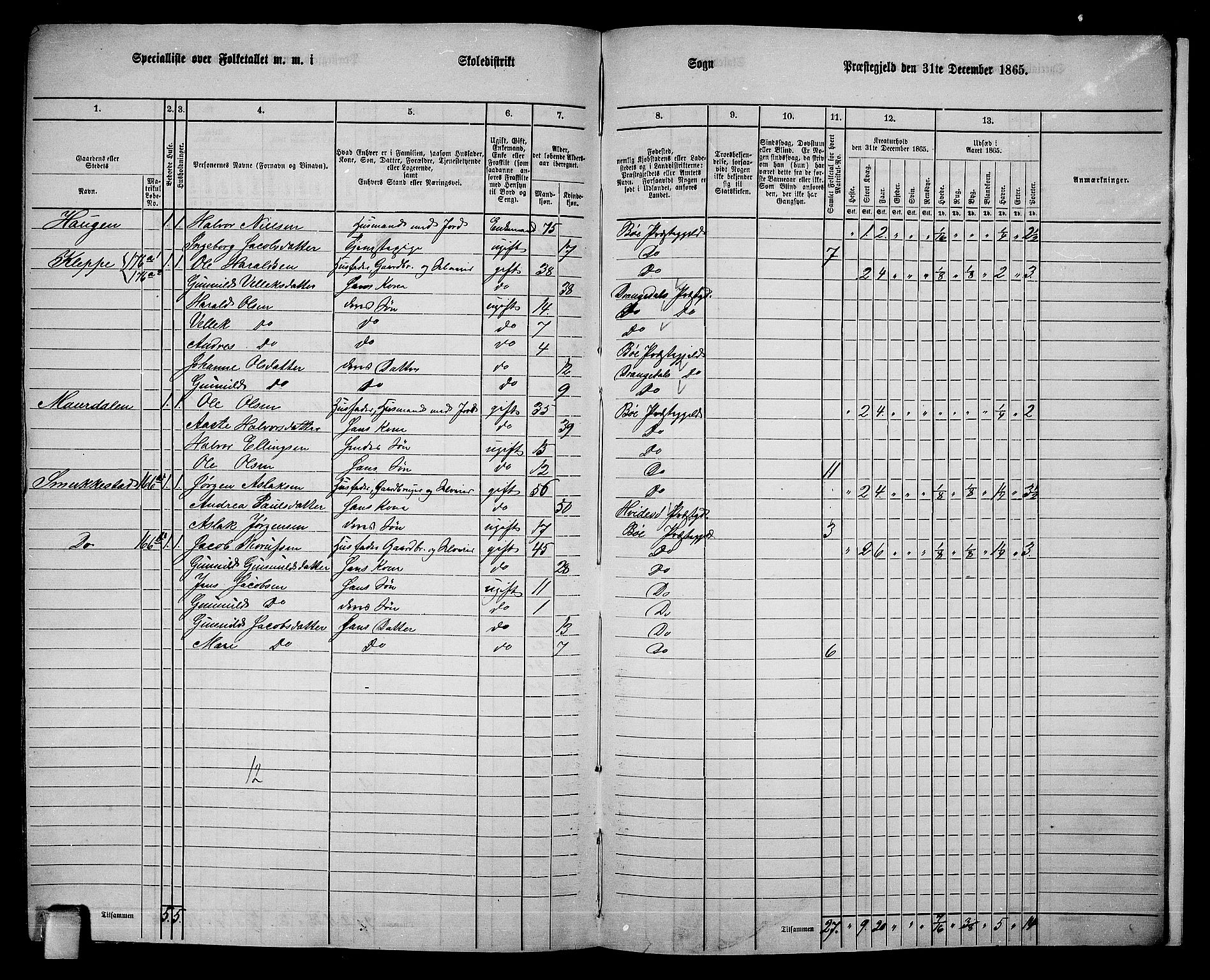 RA, 1865 census for Bø, 1865, p. 216