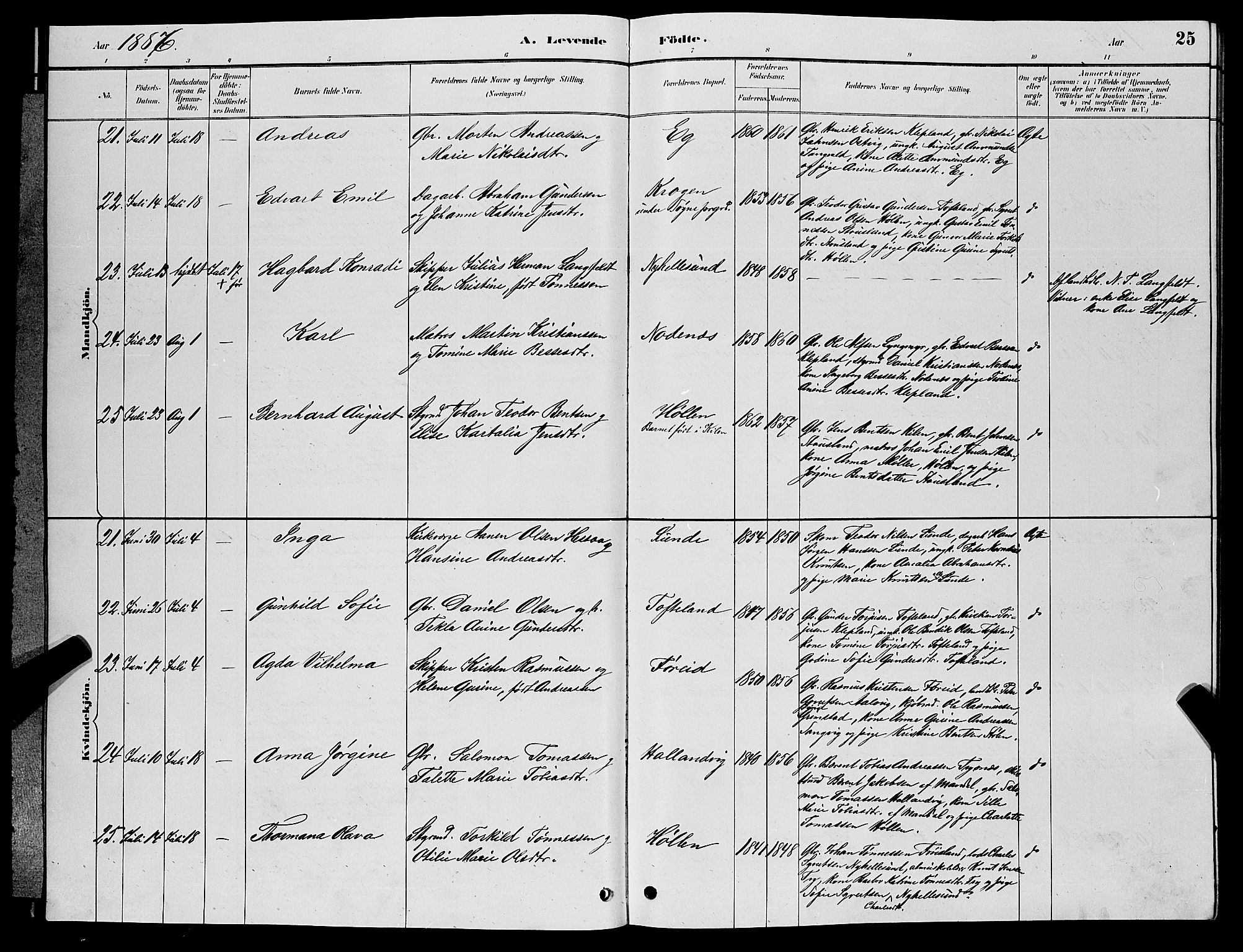 Søgne sokneprestkontor, AV/SAK-1111-0037/F/Fb/Fbb/L0005: Parish register (copy) no. B 5, 1884-1891, p. 25