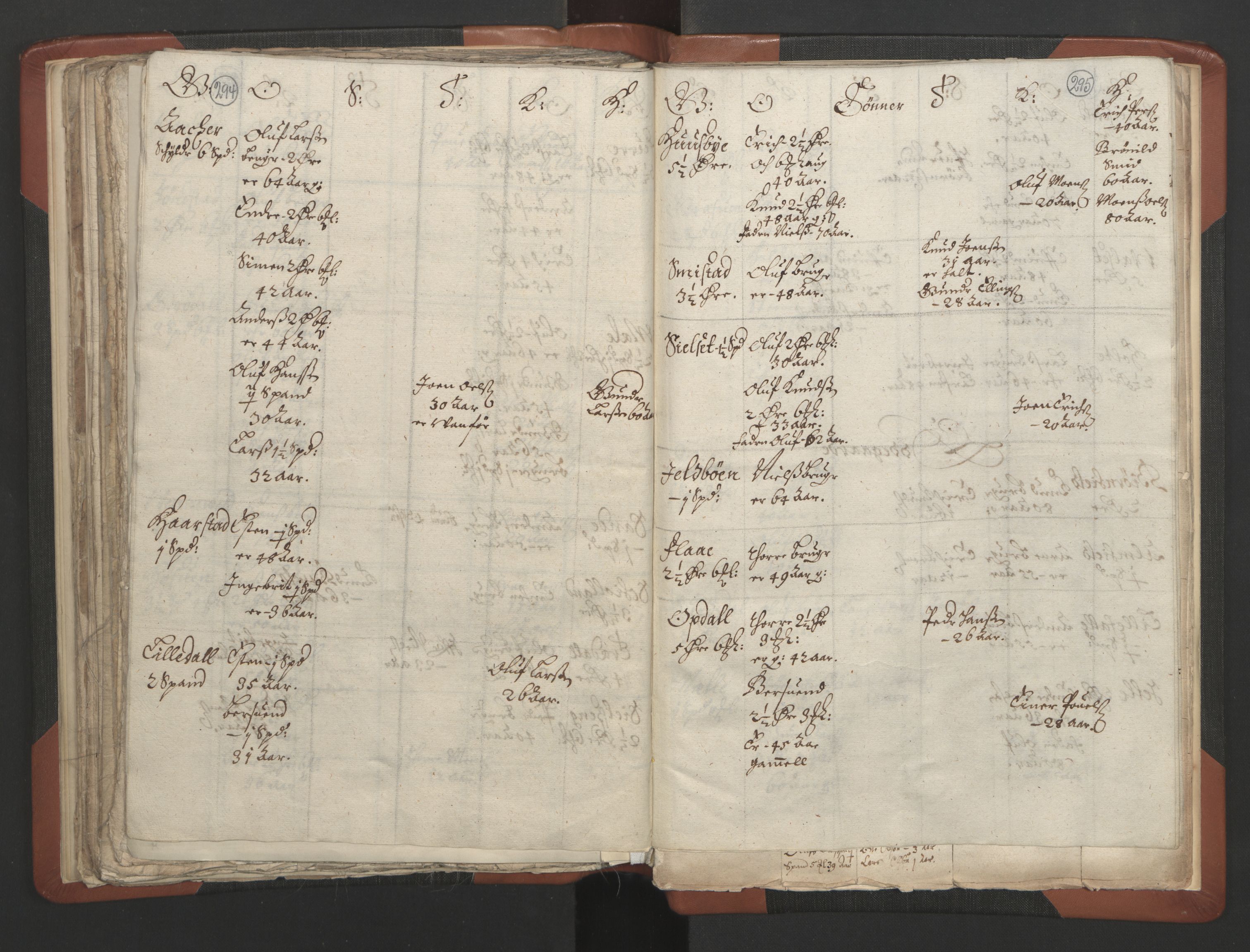 RA, Vicar's Census 1664-1666, no. 28: Nordmøre deanery, 1664-1666, p. 294-295