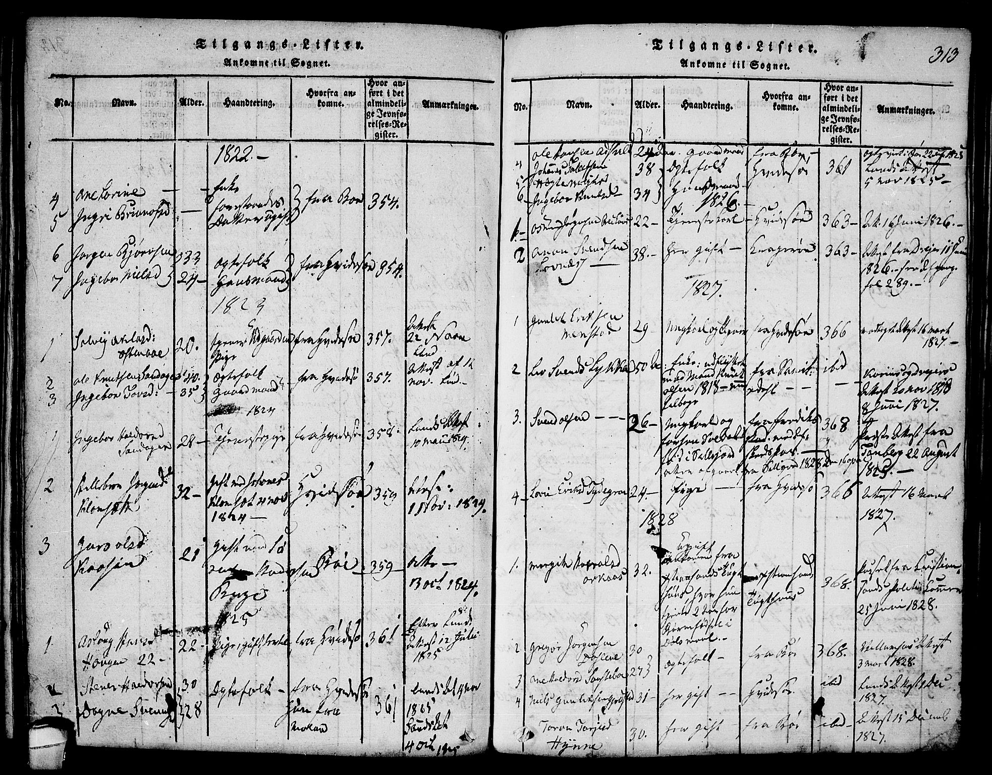 Seljord kirkebøker, SAKO/A-20/F/Fa/L0010: Parish register (official) no. I 10, 1815-1831, p. 313