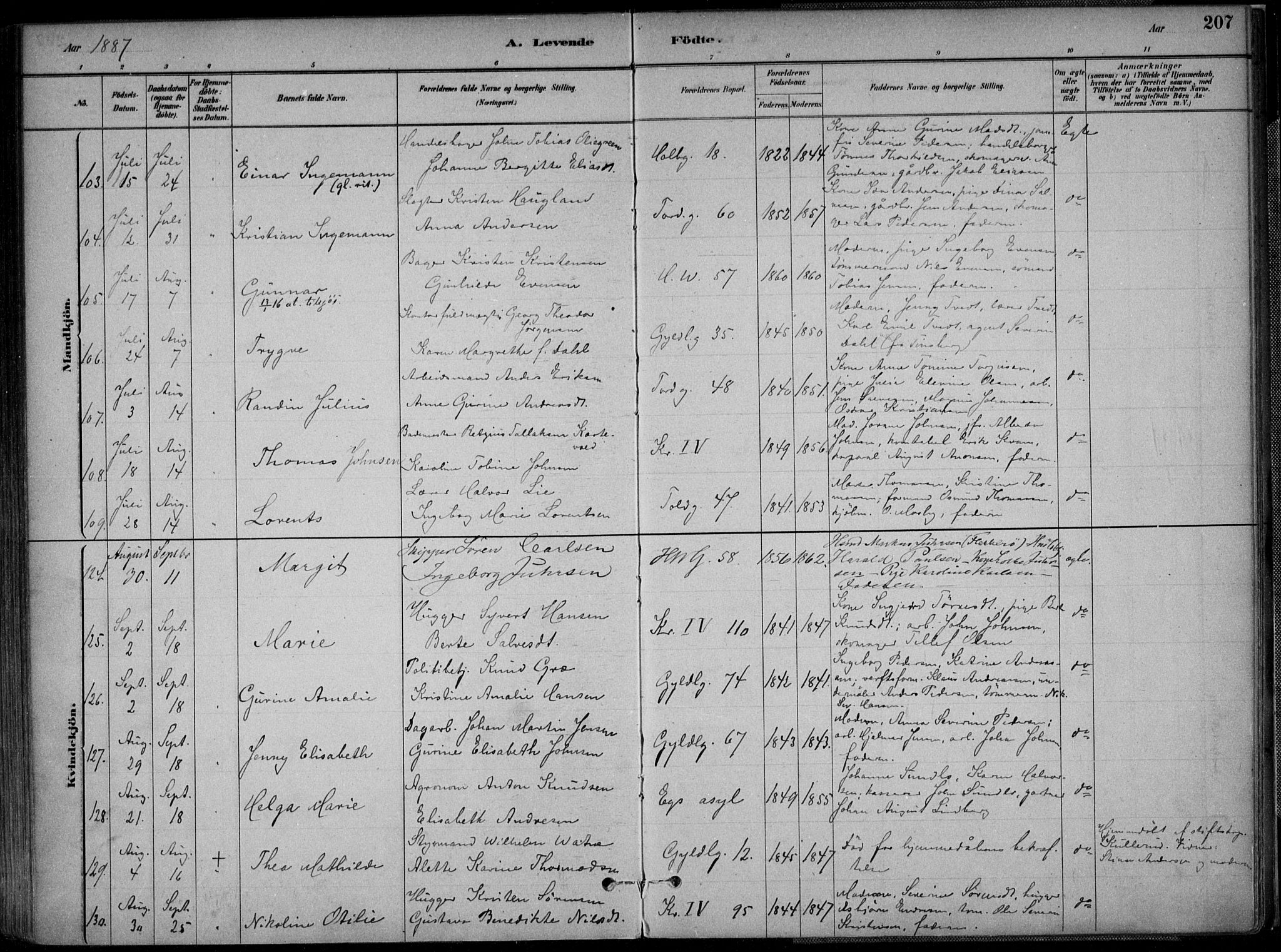 Kristiansand domprosti, SAK/1112-0006/F/Fa/L0016: Parish register (official) no. A 16A, 1880-1890, p. 207