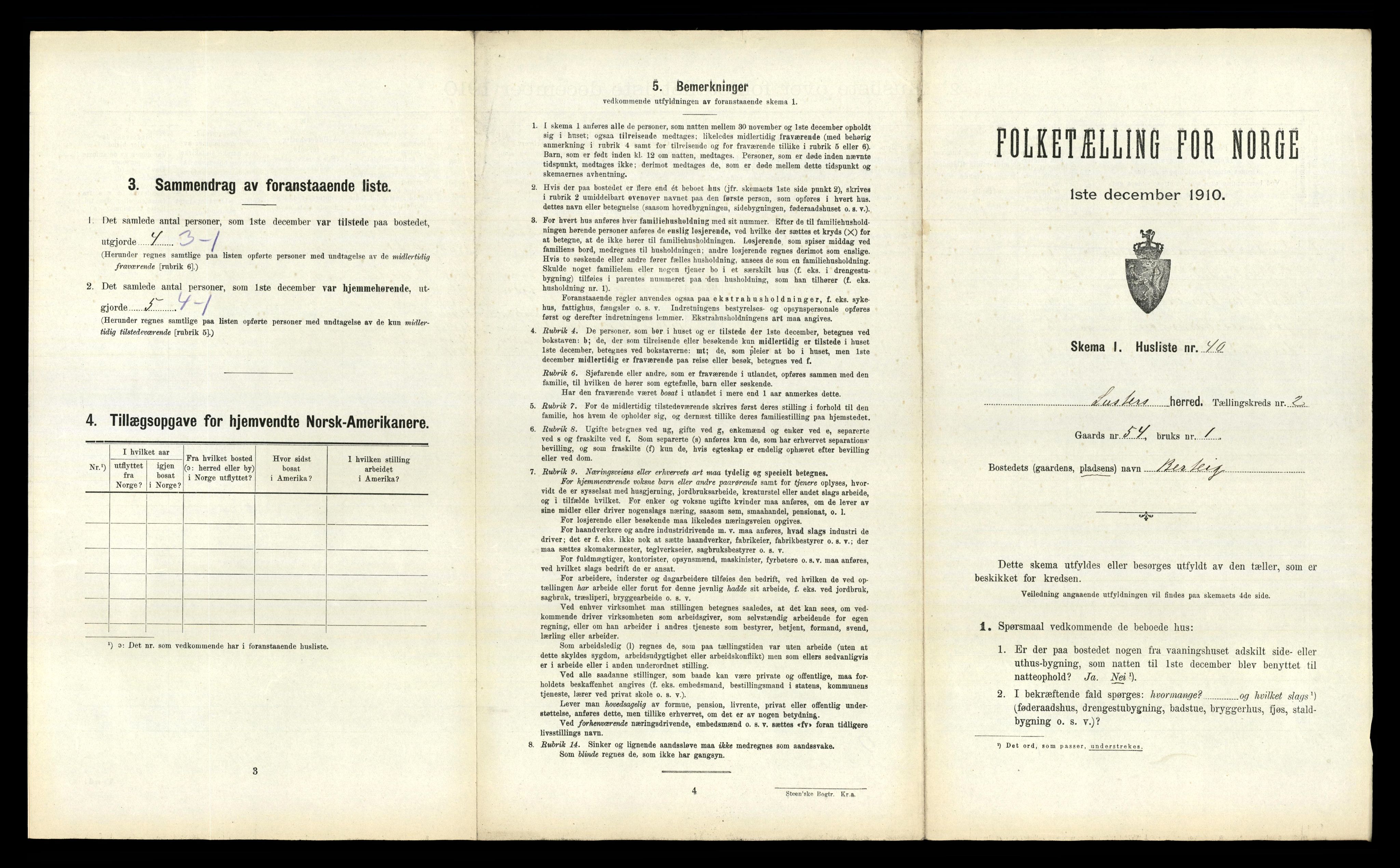 RA, 1910 census for Luster, 1910, p. 179