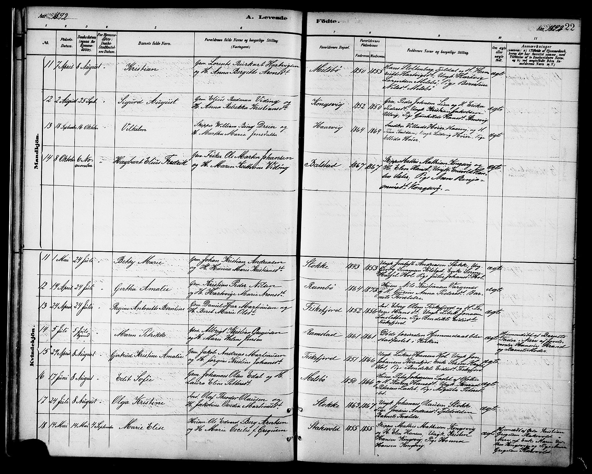 Ministerialprotokoller, klokkerbøker og fødselsregistre - Nordland, AV/SAT-A-1459/865/L0924: Parish register (official) no. 865A02, 1885-1896, p. 22