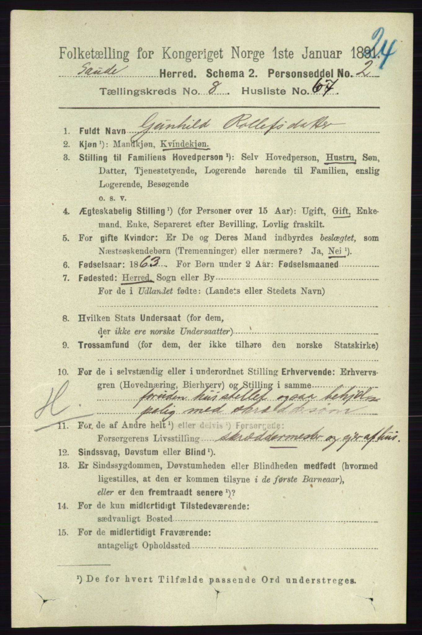 RA, 1891 census for 0822 Sauherad, 1891, p. 2647