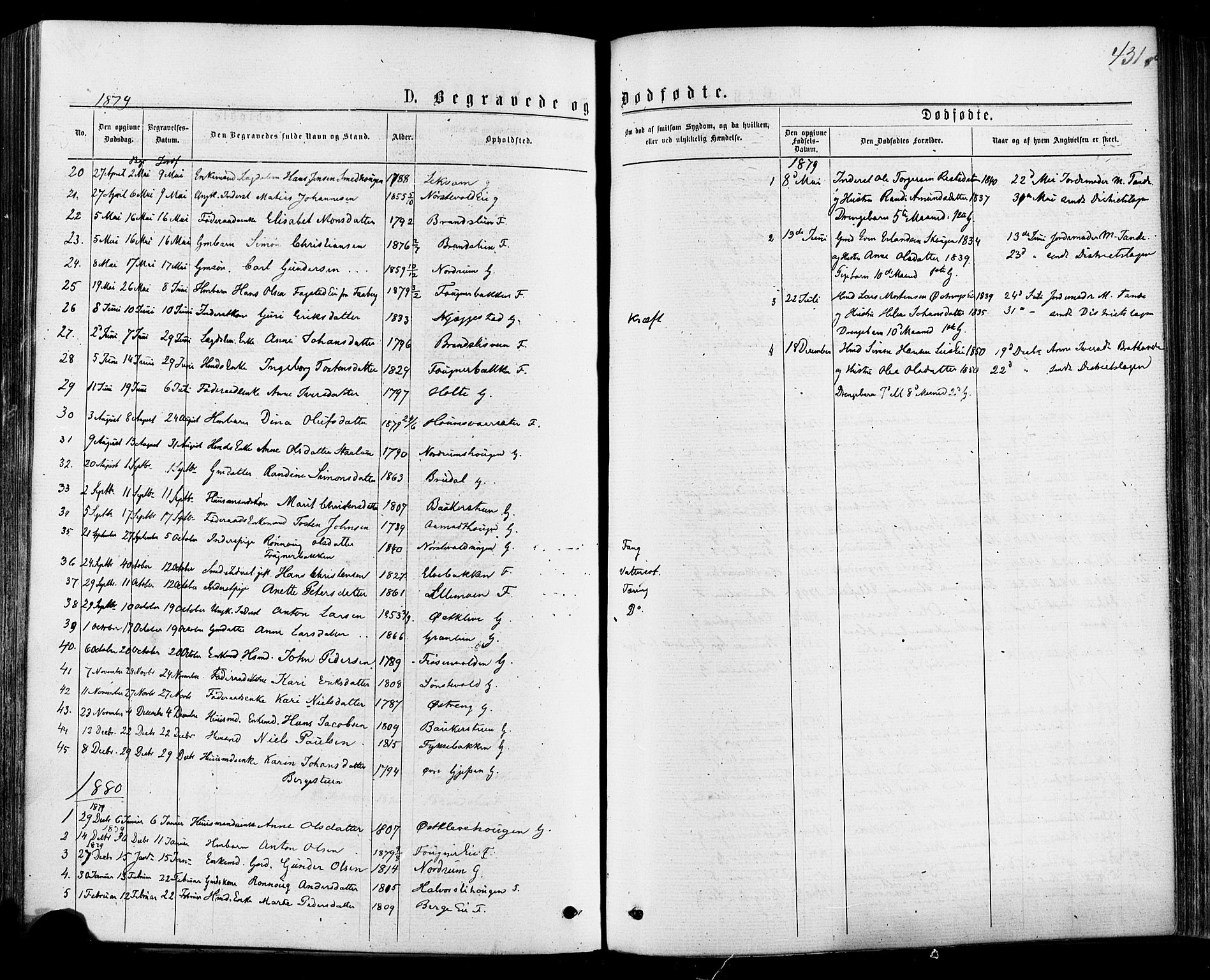 Østre Gausdal prestekontor, AV/SAH-PREST-092/H/Ha/Haa/L0001: Parish register (official) no. 1, 1874-1886, p. 431