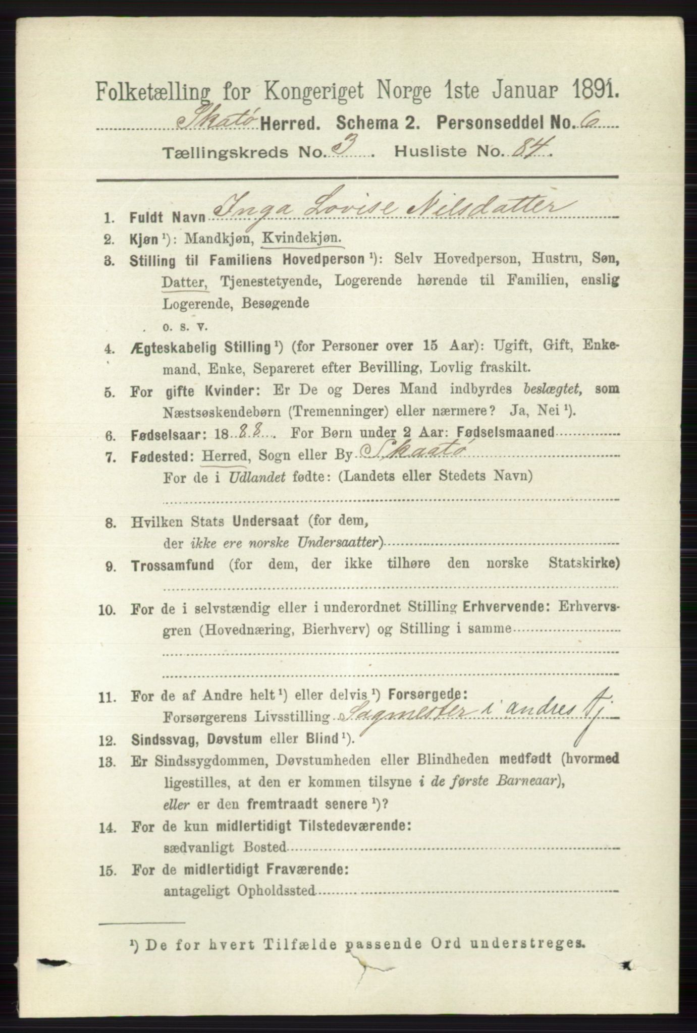 RA, 1891 census for 0815 Skåtøy, 1891, p. 943