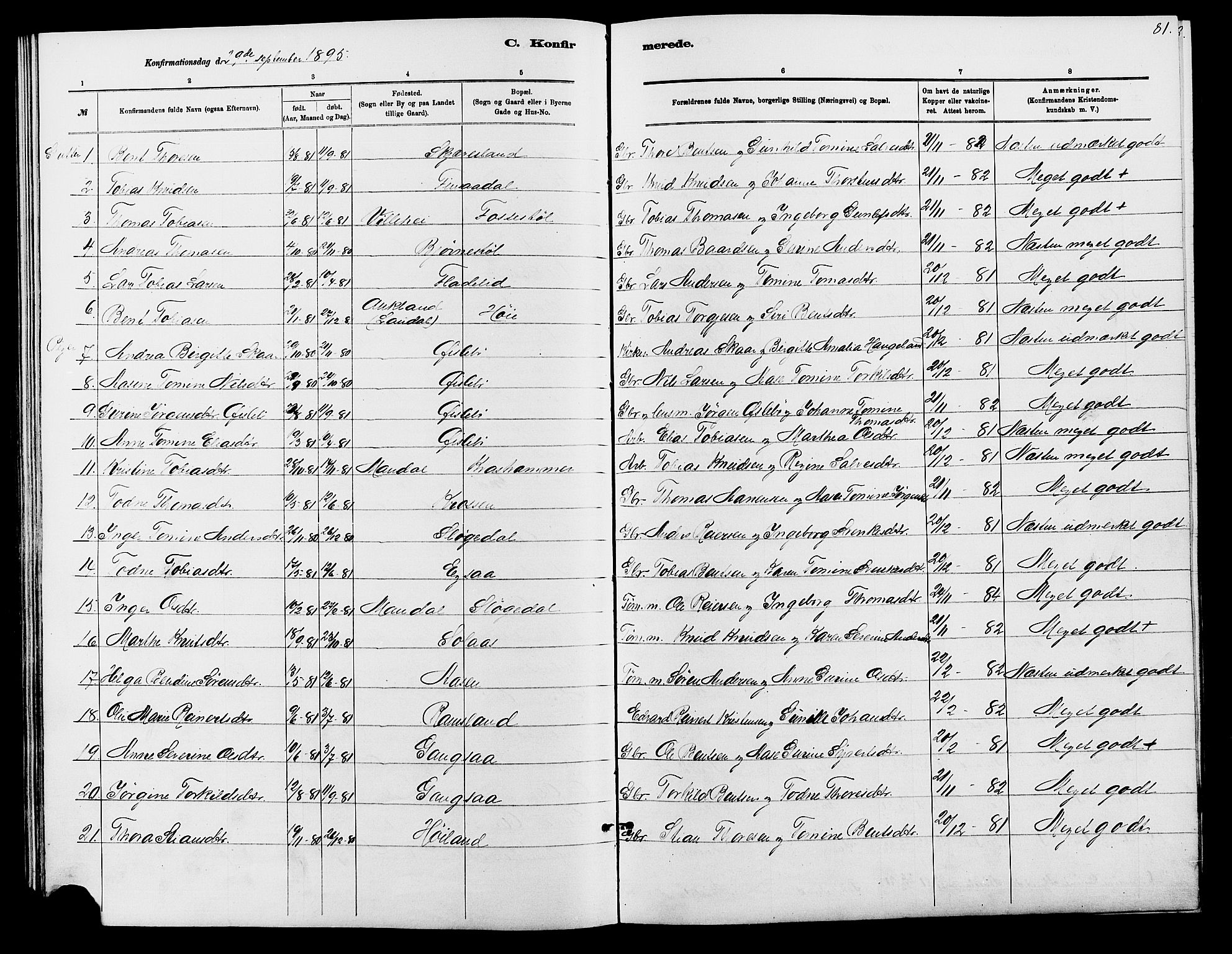 Holum sokneprestkontor, SAK/1111-0022/F/Fb/Fbc/L0003: Parish register (copy) no. B 3, 1882-1908, p. 81