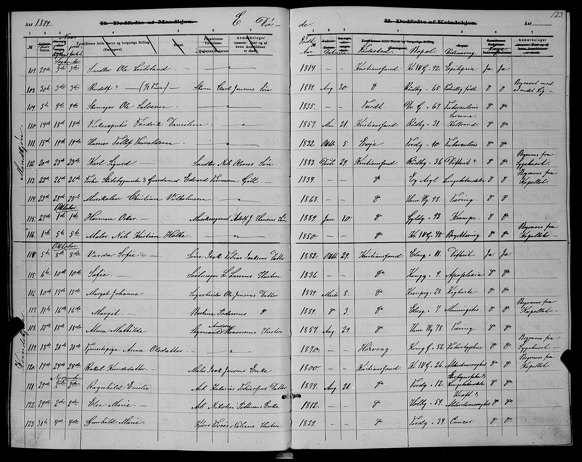 Kristiansand domprosti, AV/SAK-1112-0006/F/Fb/L0016: Parish register (copy) no. B 16, 1881-1893, p. 123