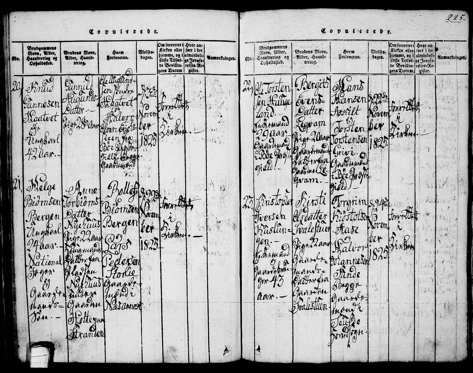 Sauherad kirkebøker, SAKO/A-298/G/Ga/L0001: Parish register (copy) no. I 1, 1815-1827, p. 225