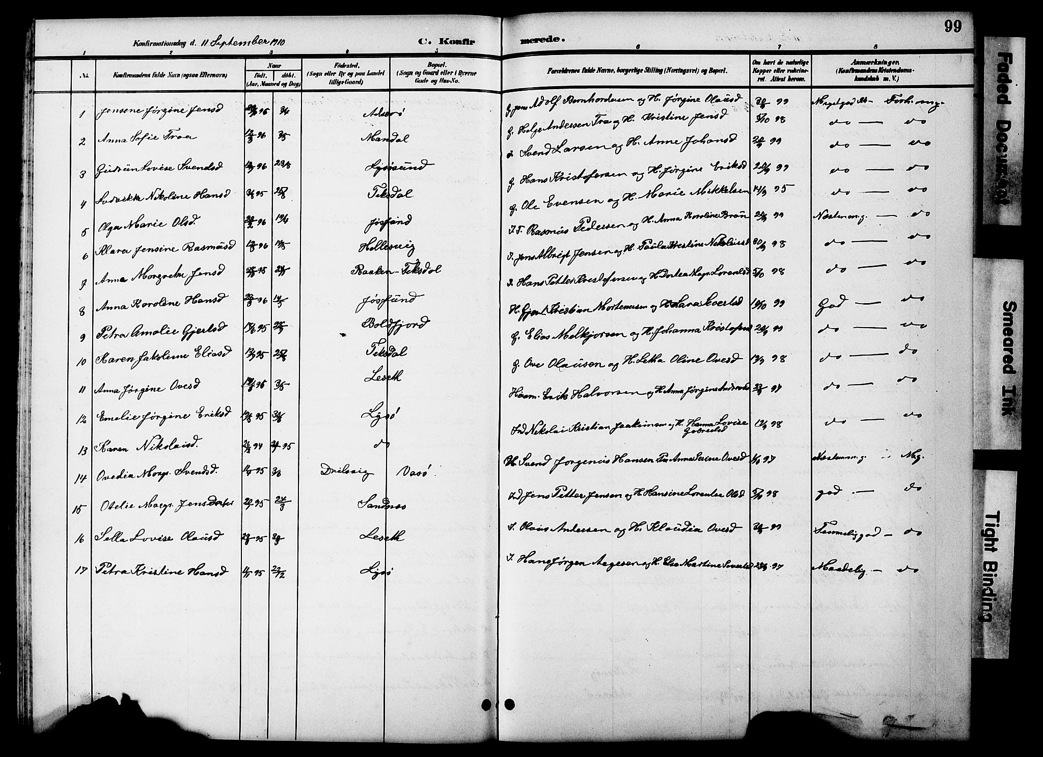 Ministerialprotokoller, klokkerbøker og fødselsregistre - Sør-Trøndelag, SAT/A-1456/654/L0666: Parish register (copy) no. 654C02, 1901-1925, p. 99